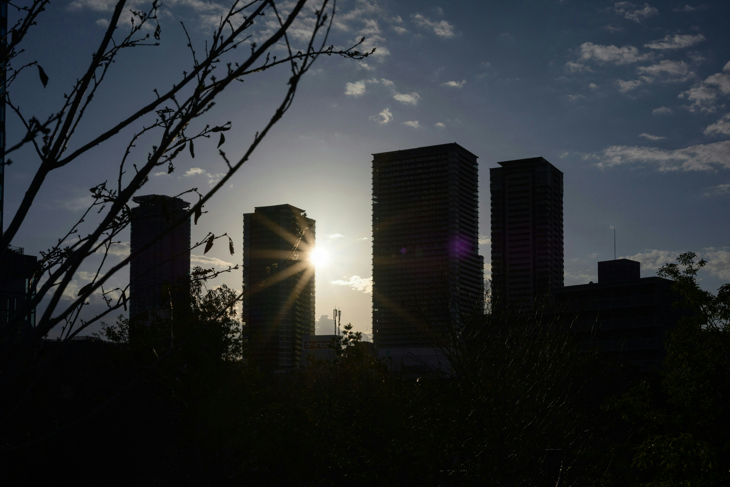 2025-12-shoot-with-aperture-image-16