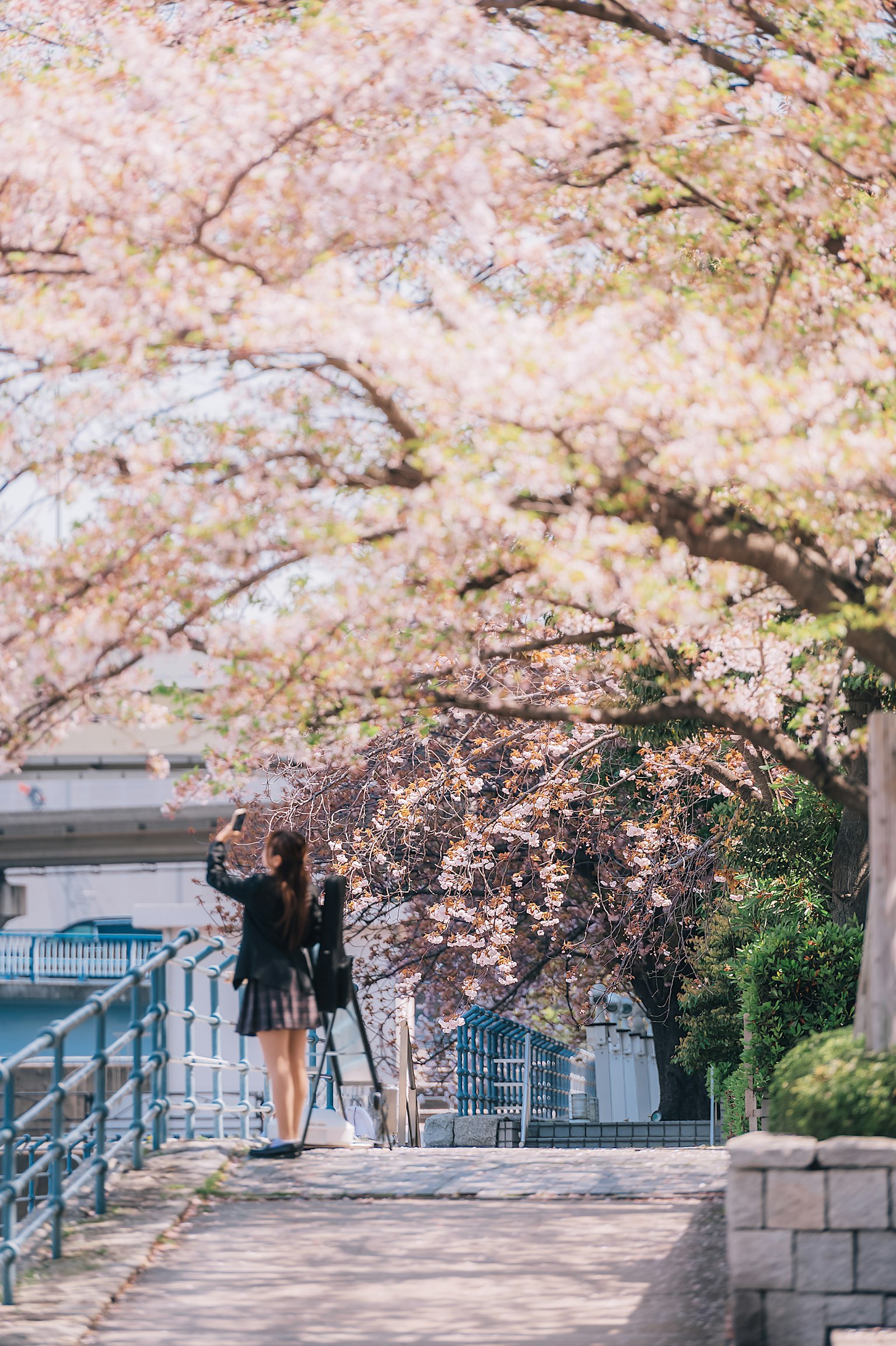 2024-04-spotlight-by-yanma222-sugi0325-saciiiko-image-12