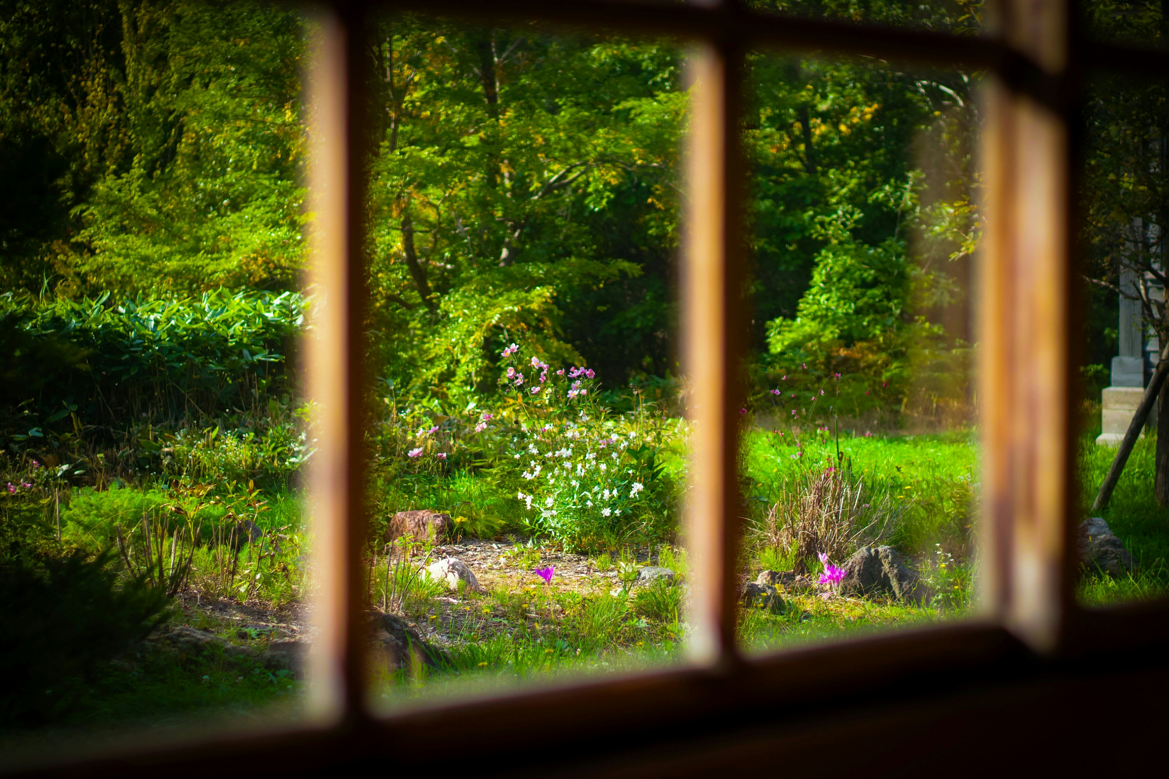 2025-03-beyond-the-window-award-image-15