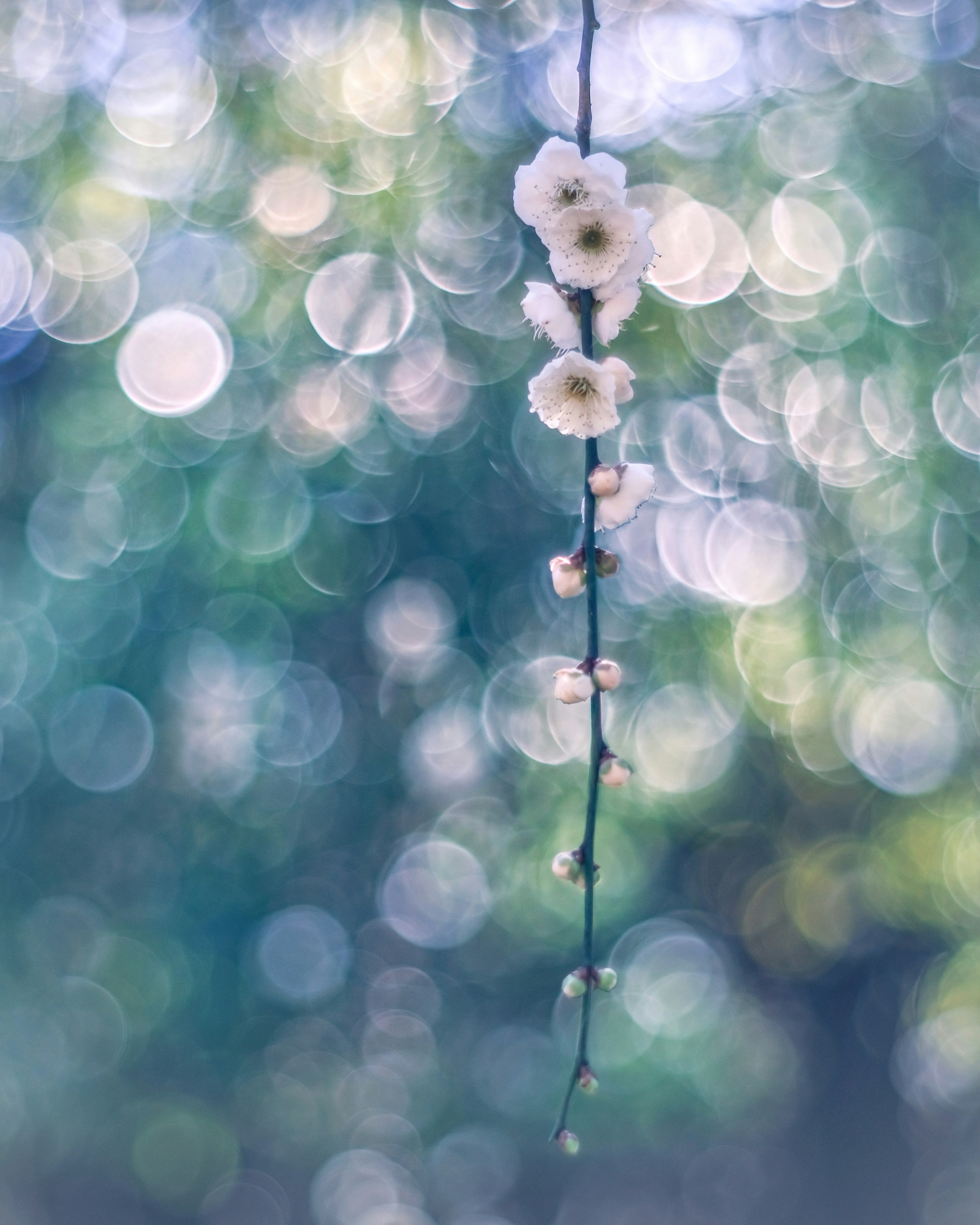 2025-11-tiktok-ai-content-limit-cover-image