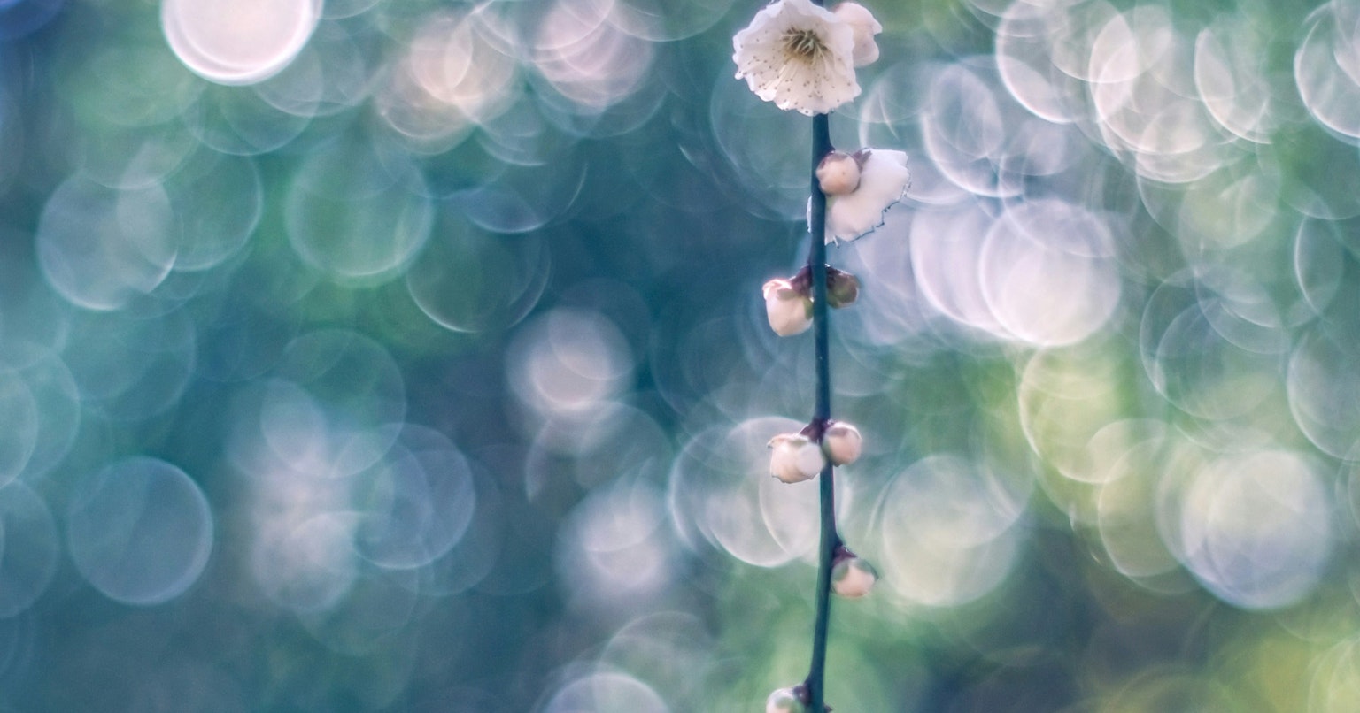 2025-11-tiktok-ai-content-limit-cover-image