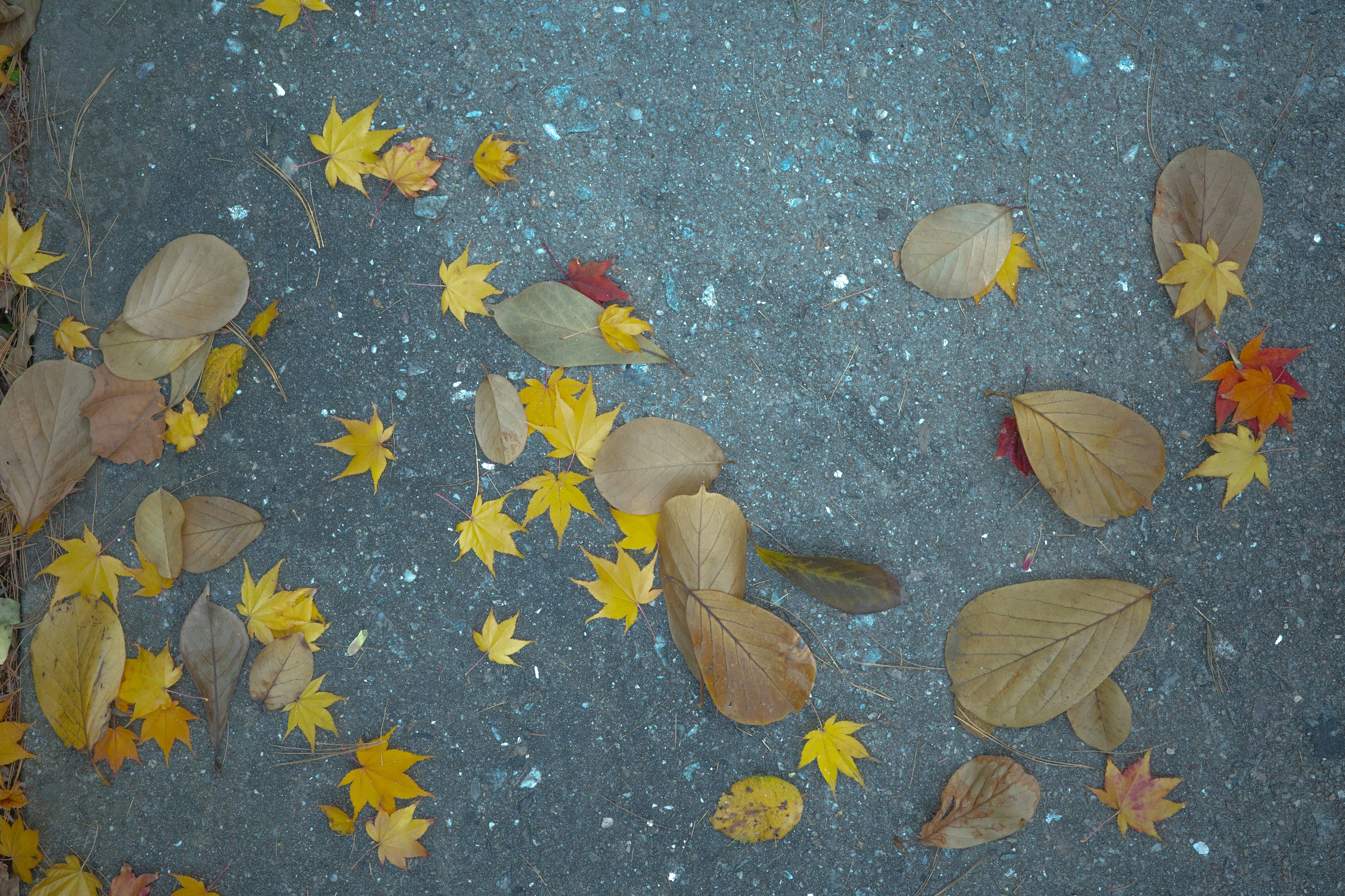 Photo by Choi Hyeji