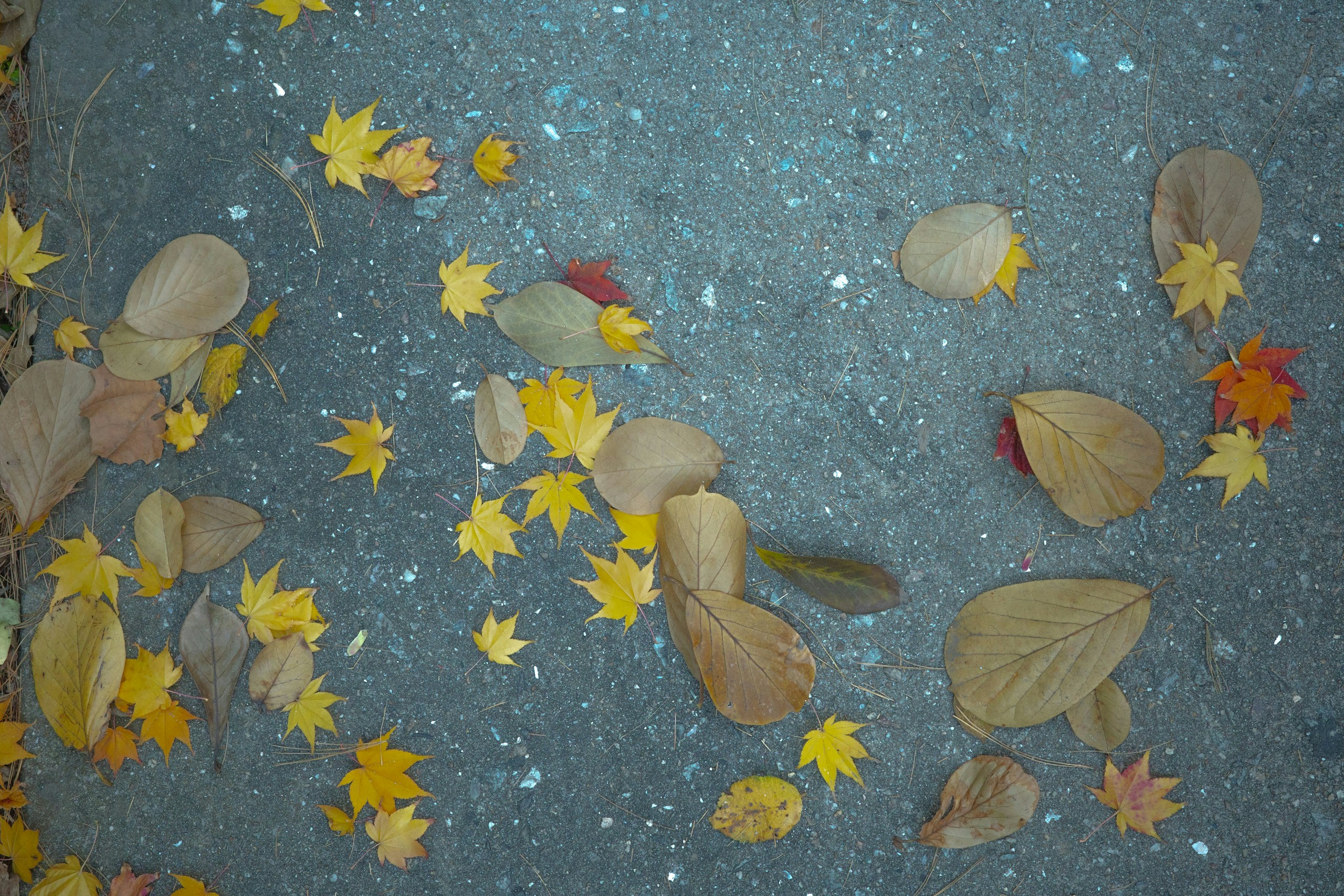 Photo by Choi Hyeji