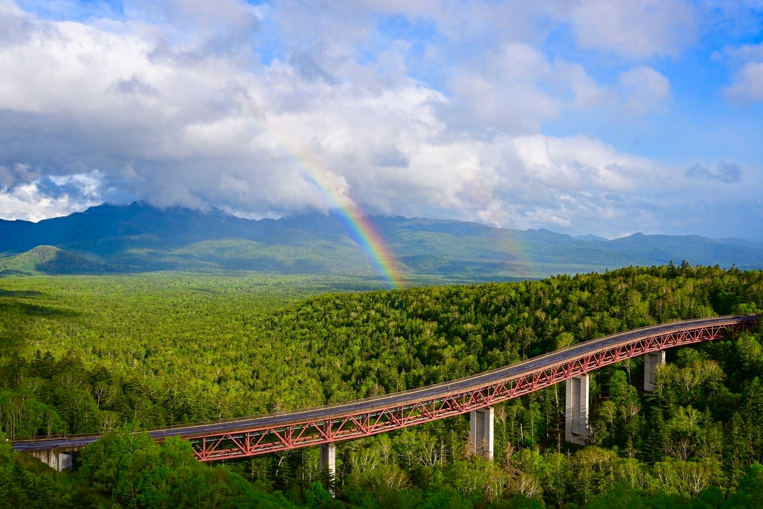 2026-02-reading-the-trail-image-8