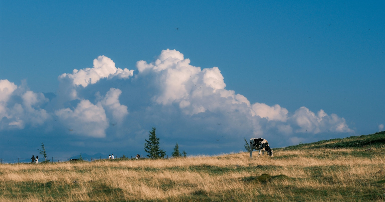 2025-09-august-diary-award-cover-image