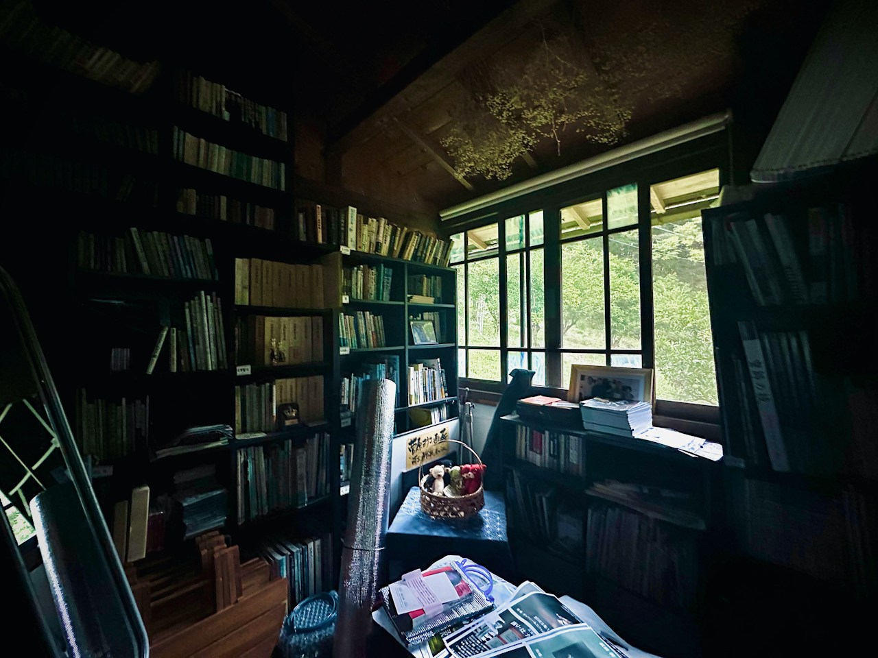 Image by Nemo