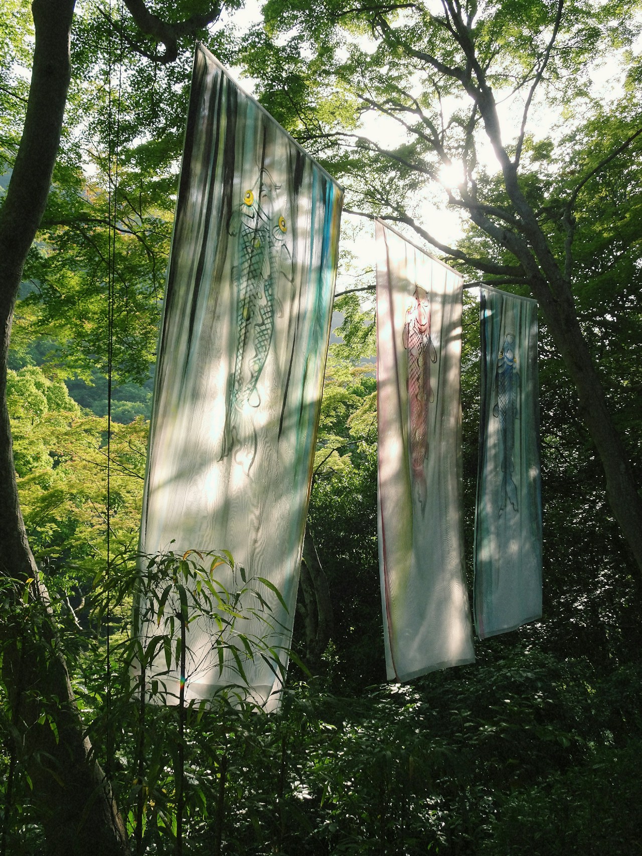 摄影: haneul