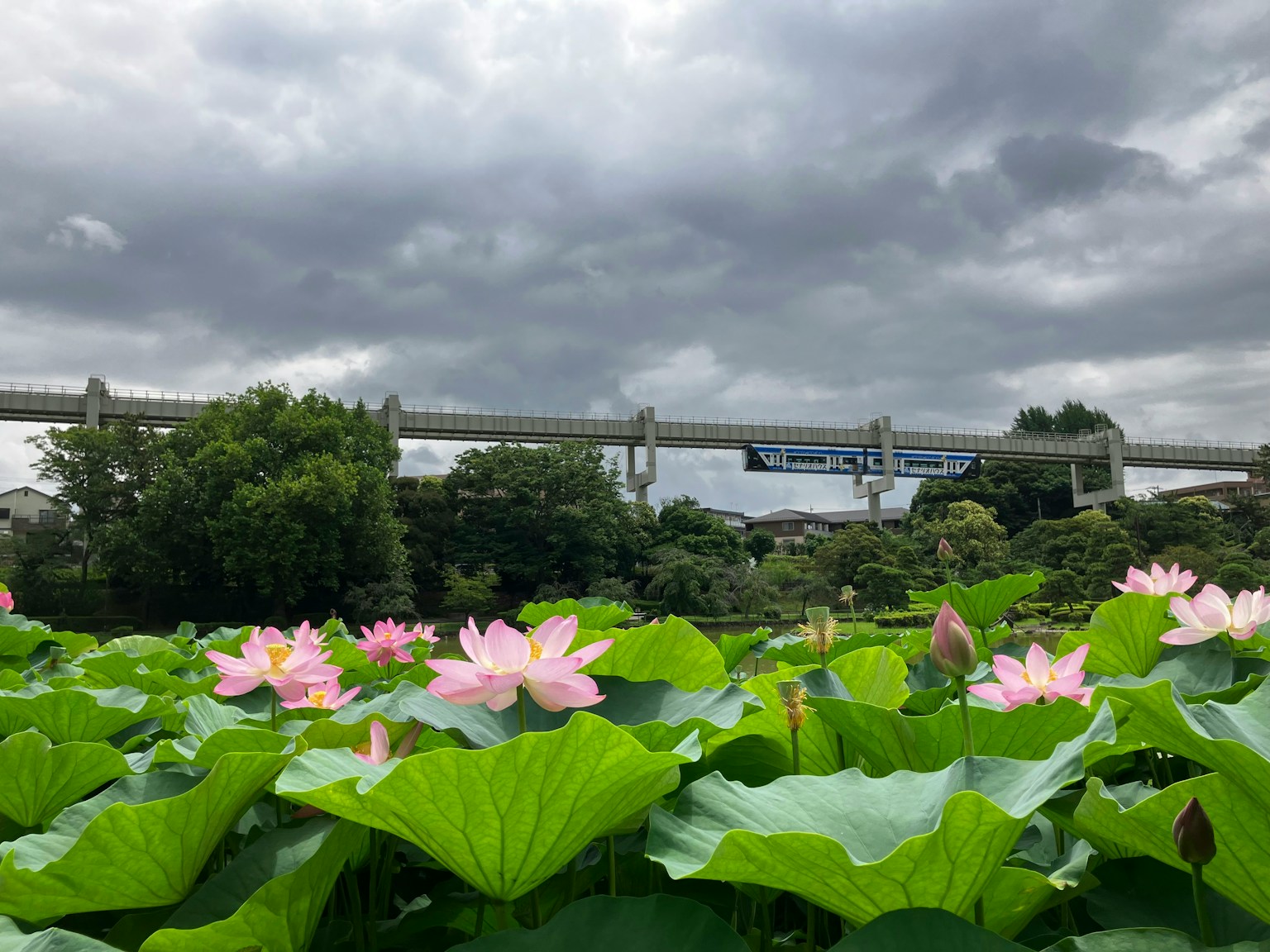 2024-08-seishun18-chiba-image-15