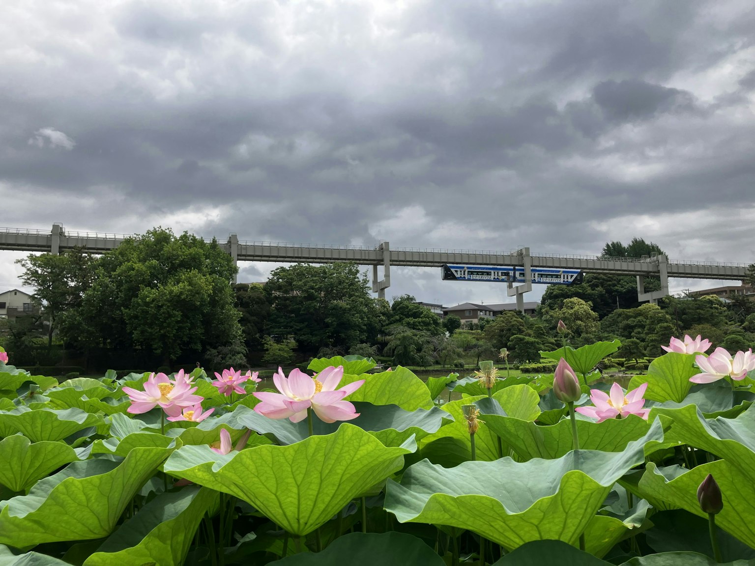 2024-08-seishun18-chiba-image-15