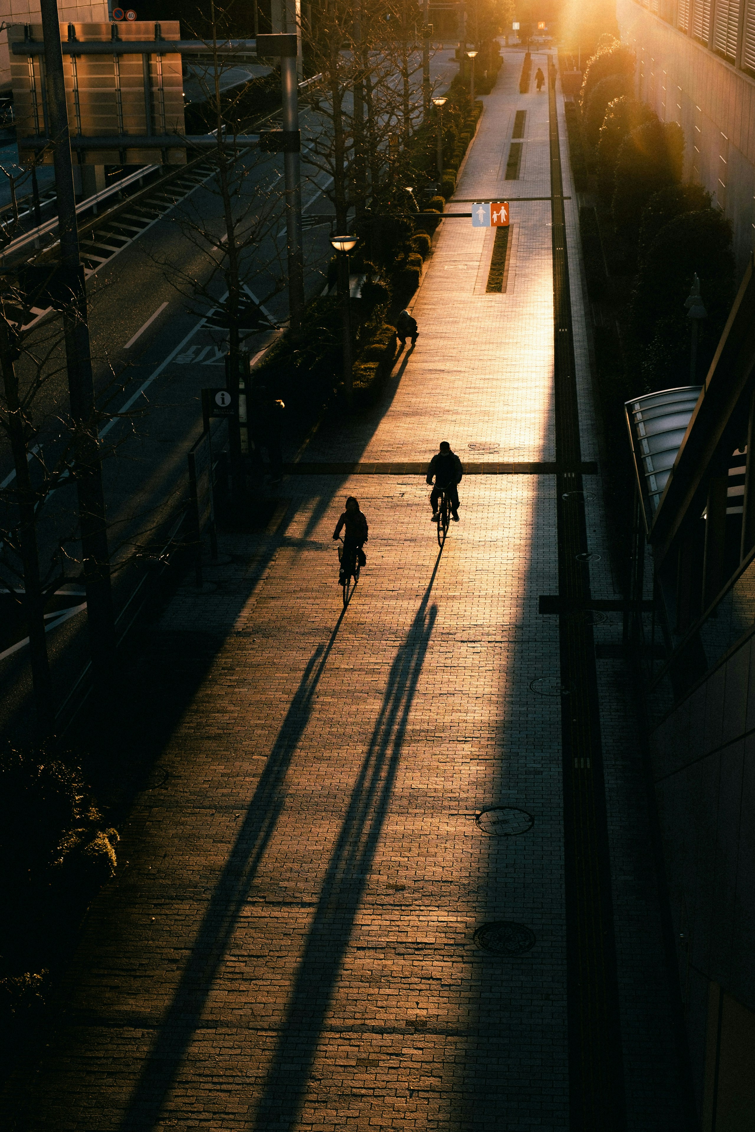 2025-05-shadow-image-5