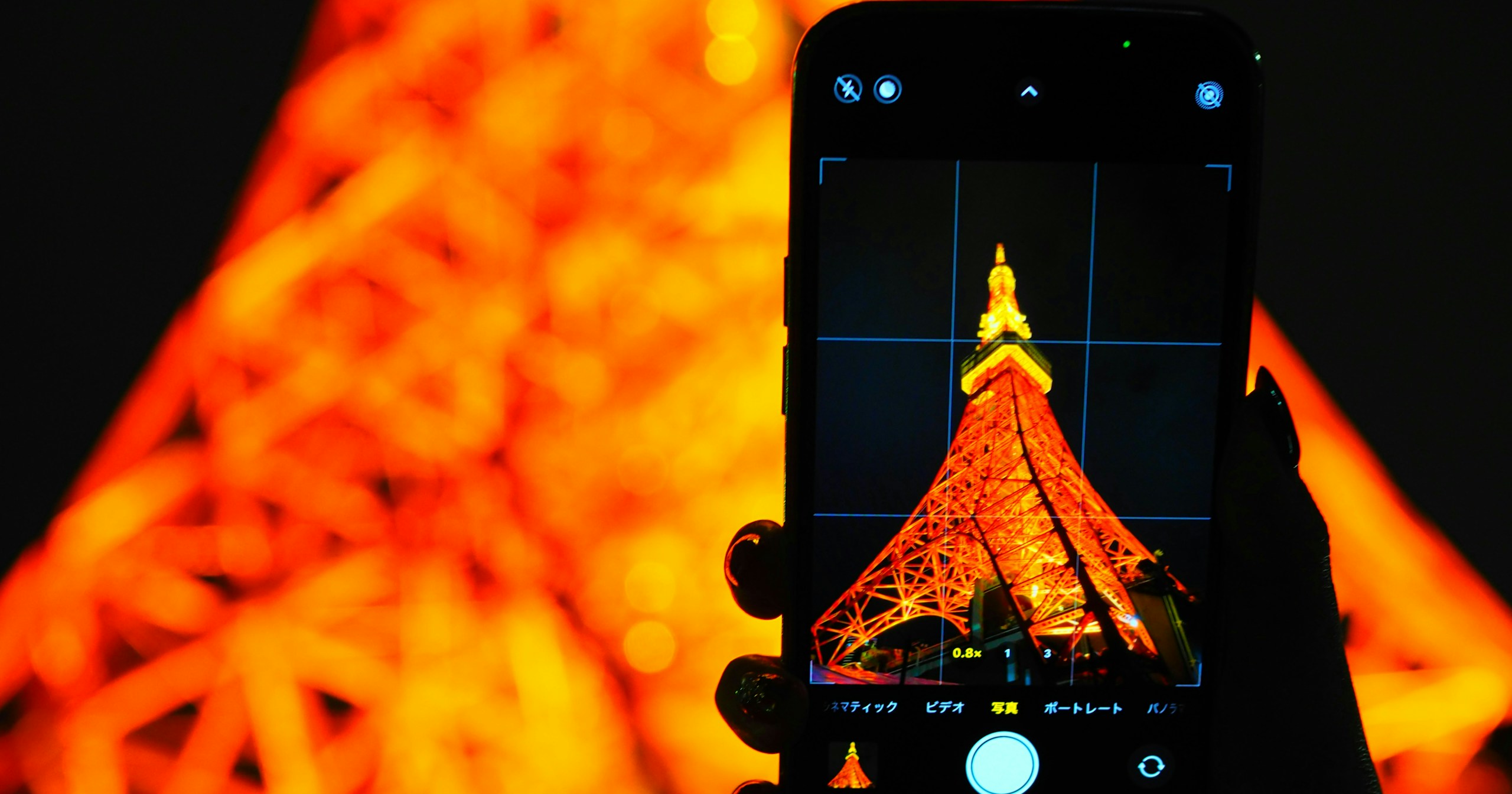 Ein Star oder ein stiller Begleiter: Der „Tokyo Tower“ | Knowledge #415