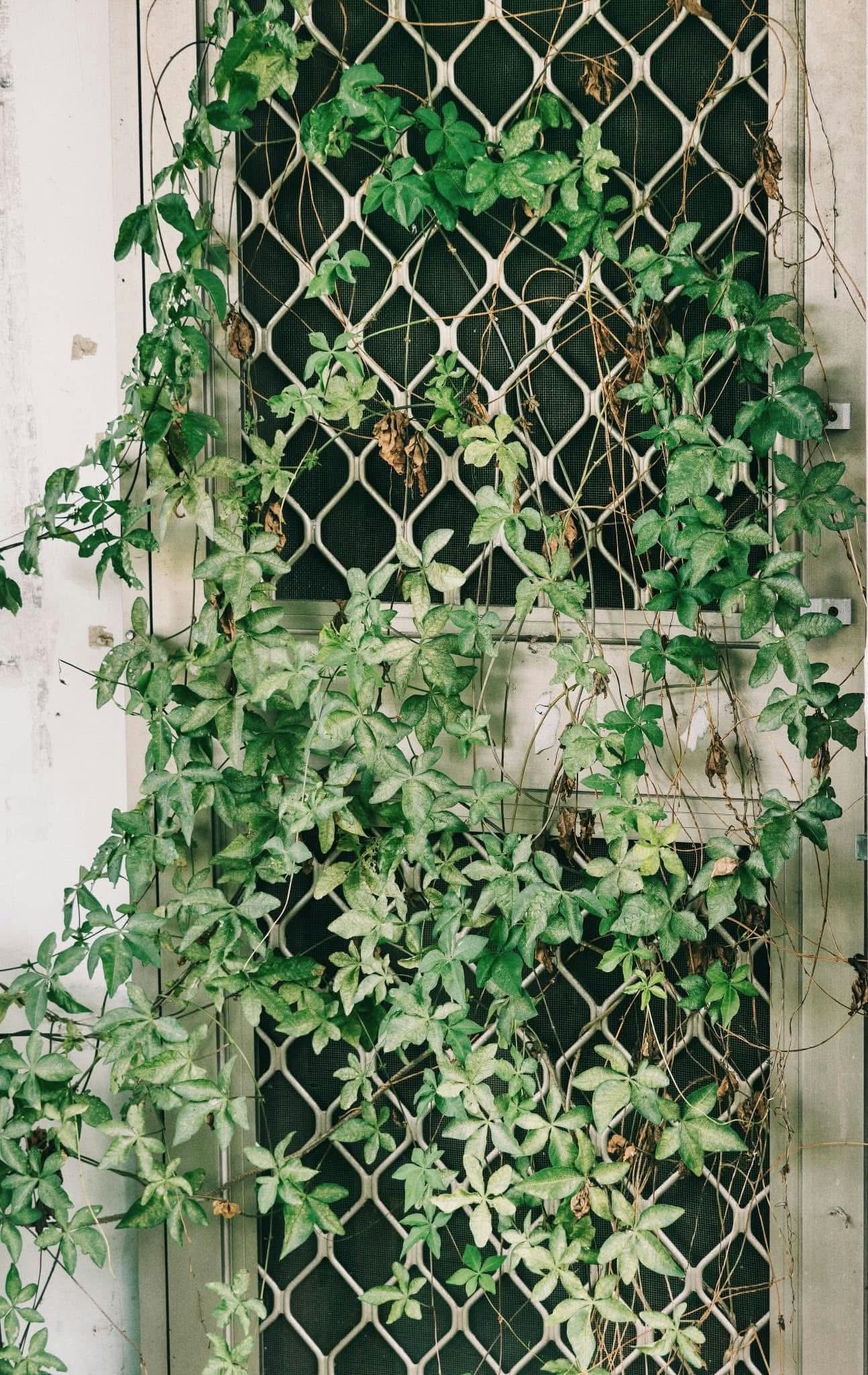 2026-05-find-new-pieces-door-image-18