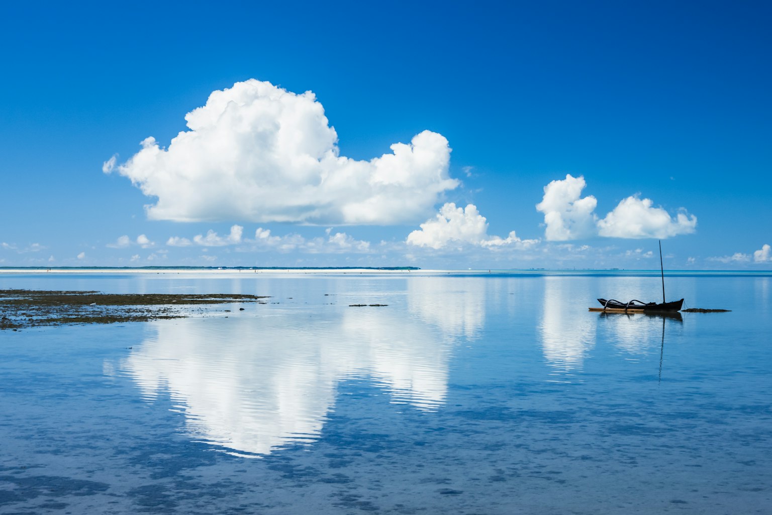 2024-05-difference-between-ao-and-blue-image-20