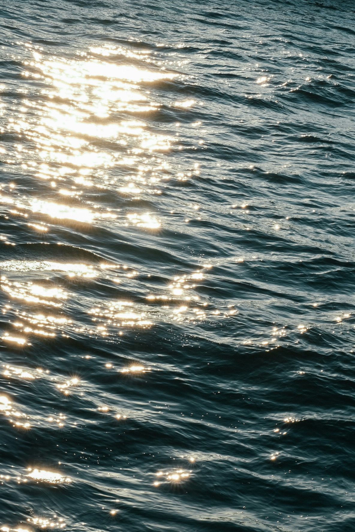 2026-01-sparkling-photography-image-4