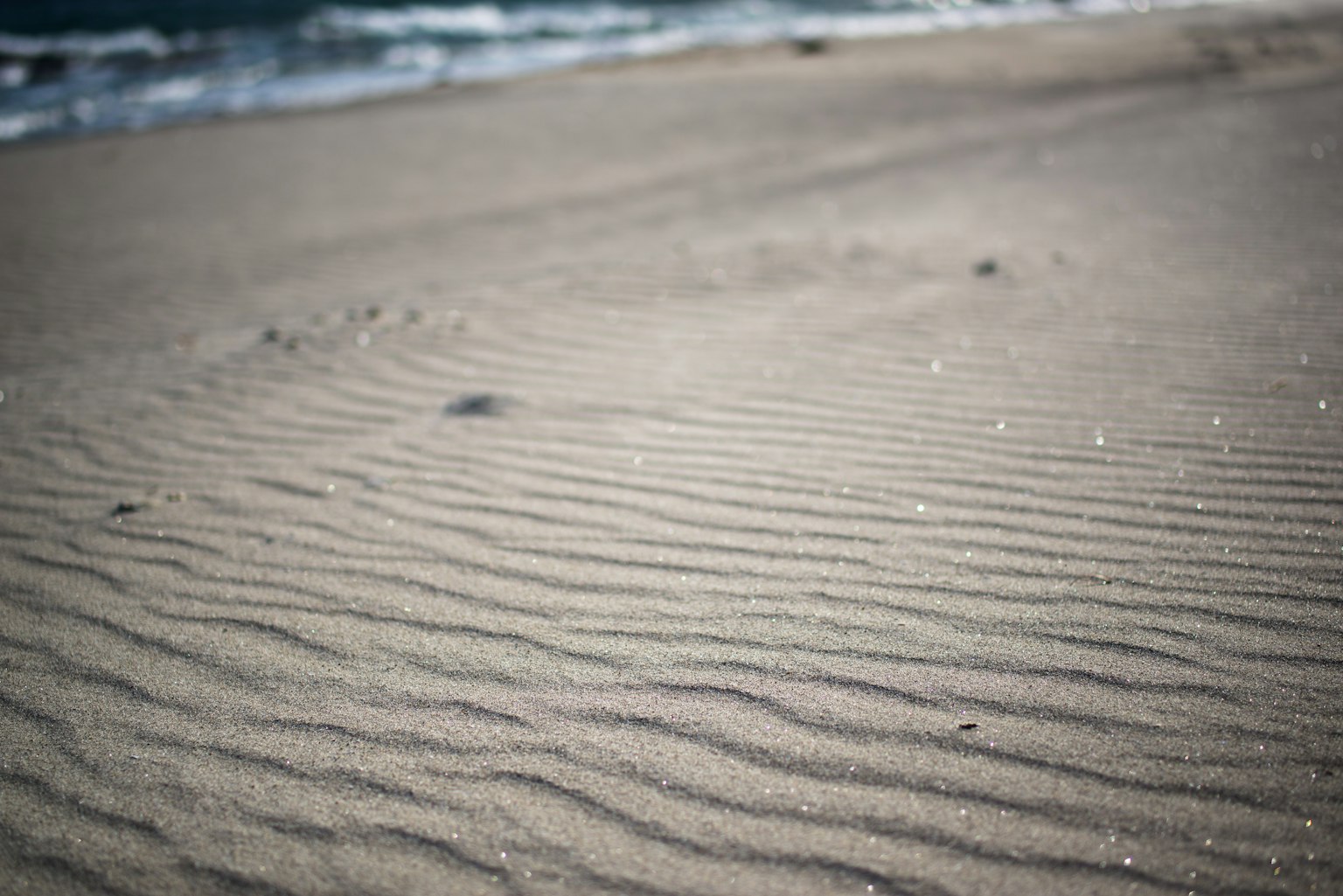 2024-01-find-patterns-award-image-6