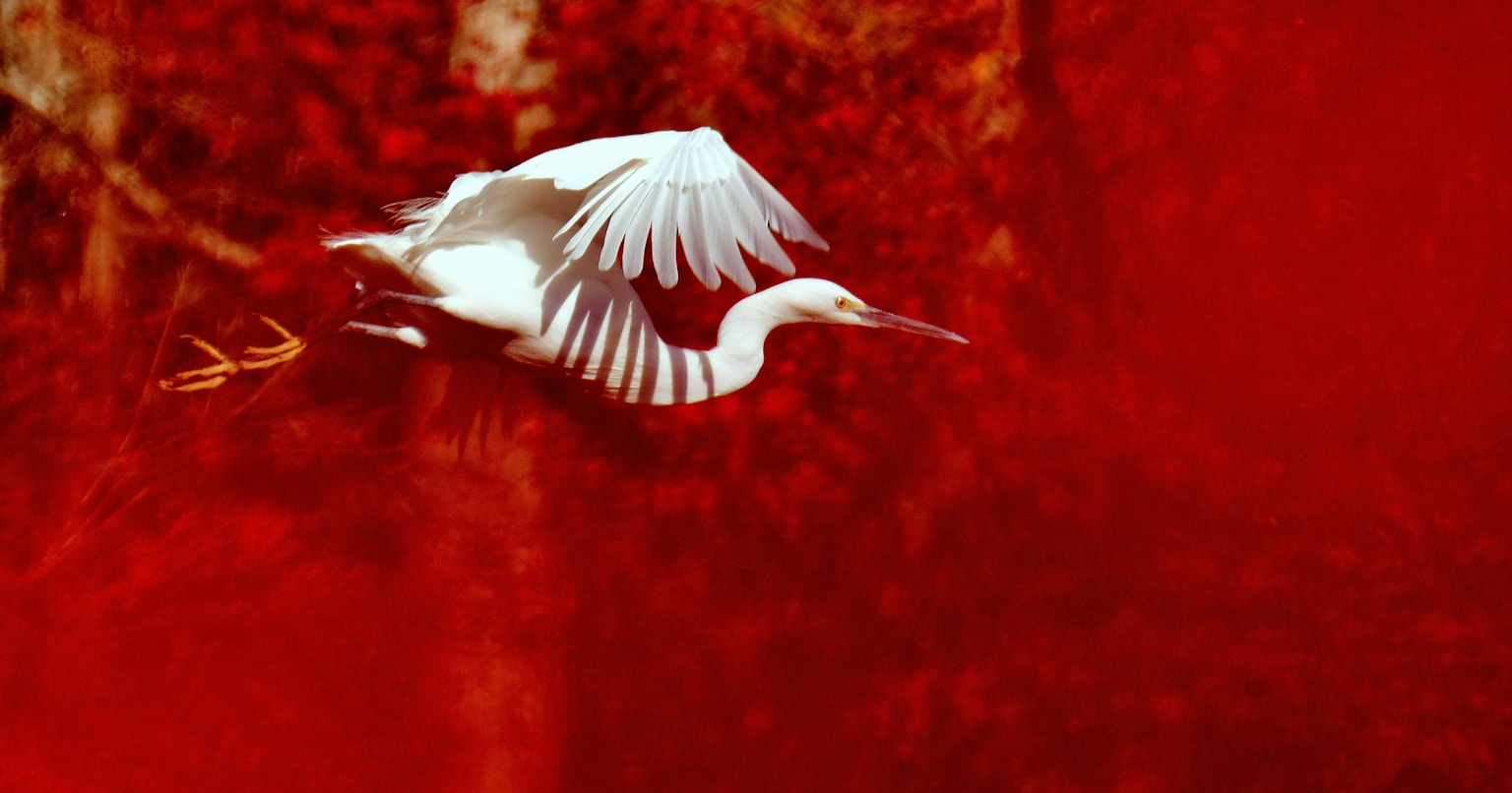 2024-09-september-diary-cover-image