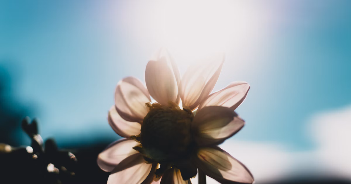 The Future of Photography and AI: Balancing Creativity and Ethics | Release #265