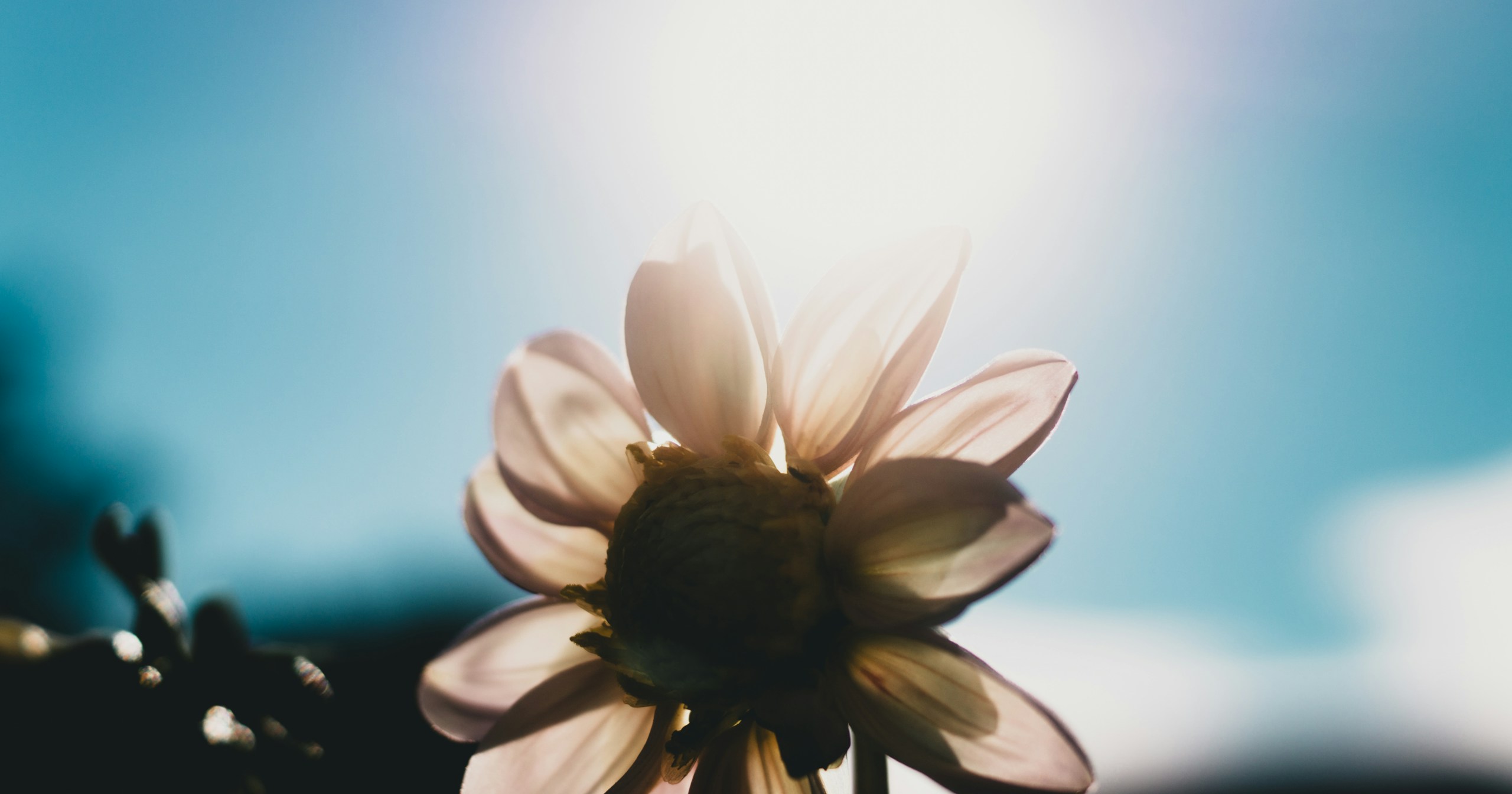 The Future of Photography and AI: Balancing Creativity and Ethics | Release #265
