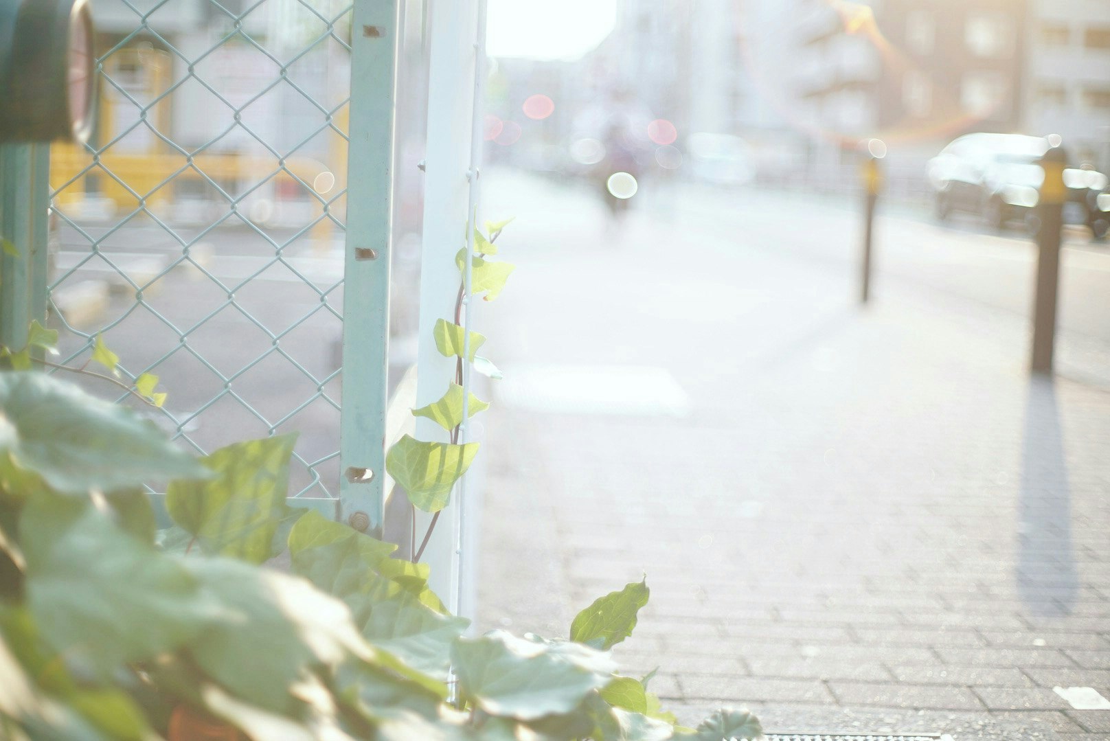 2025-07-ai-photo-location-privacy-image-4