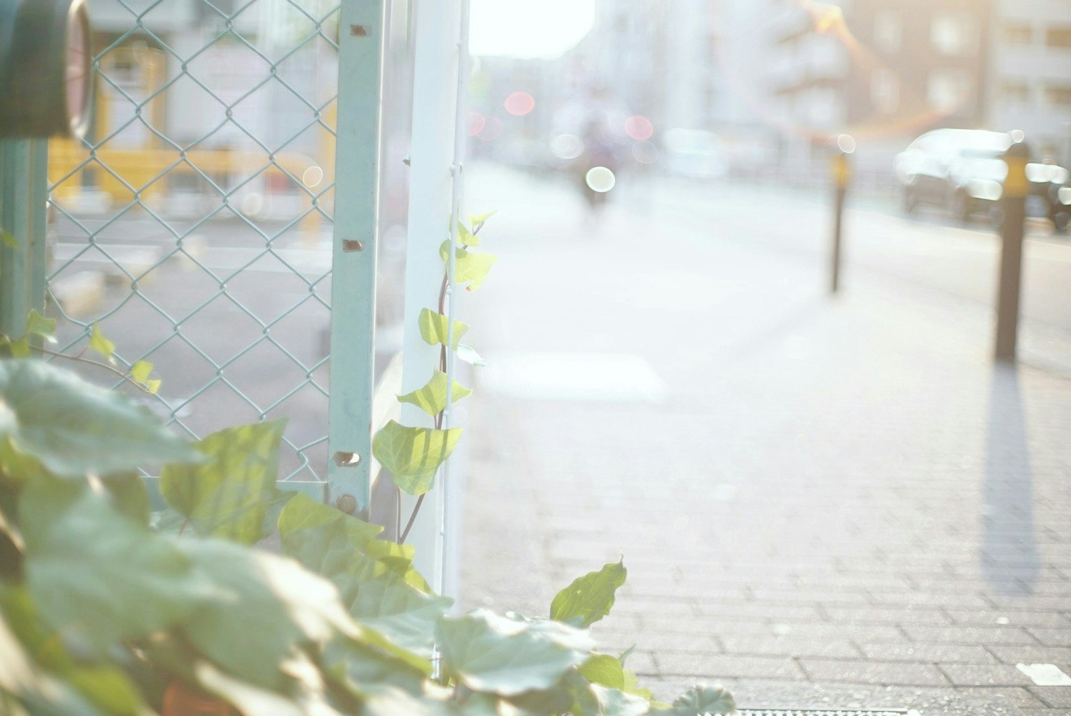 2025-07-ai-photo-location-privacy-image-4