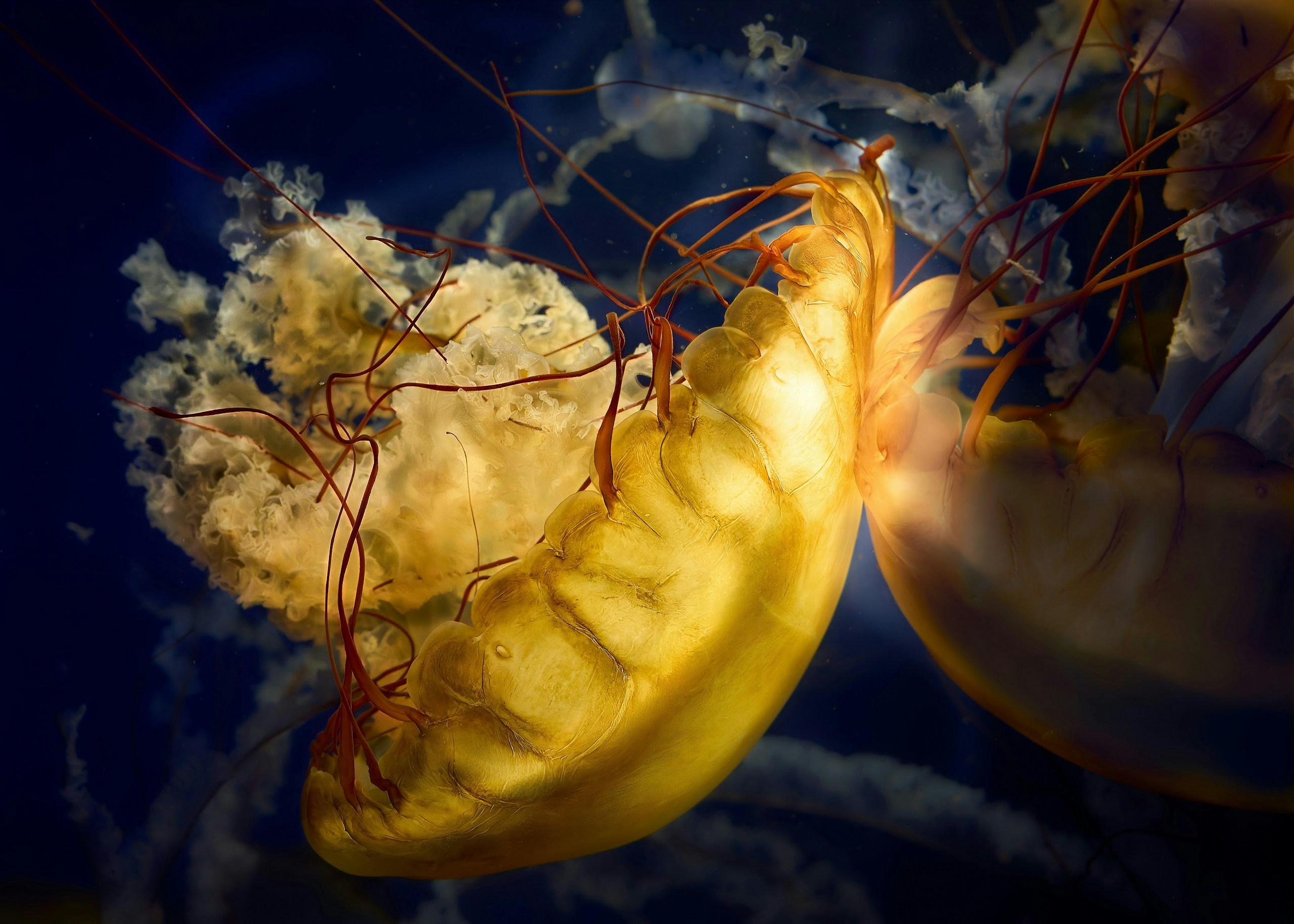 2024-12-yellow-report-image-7