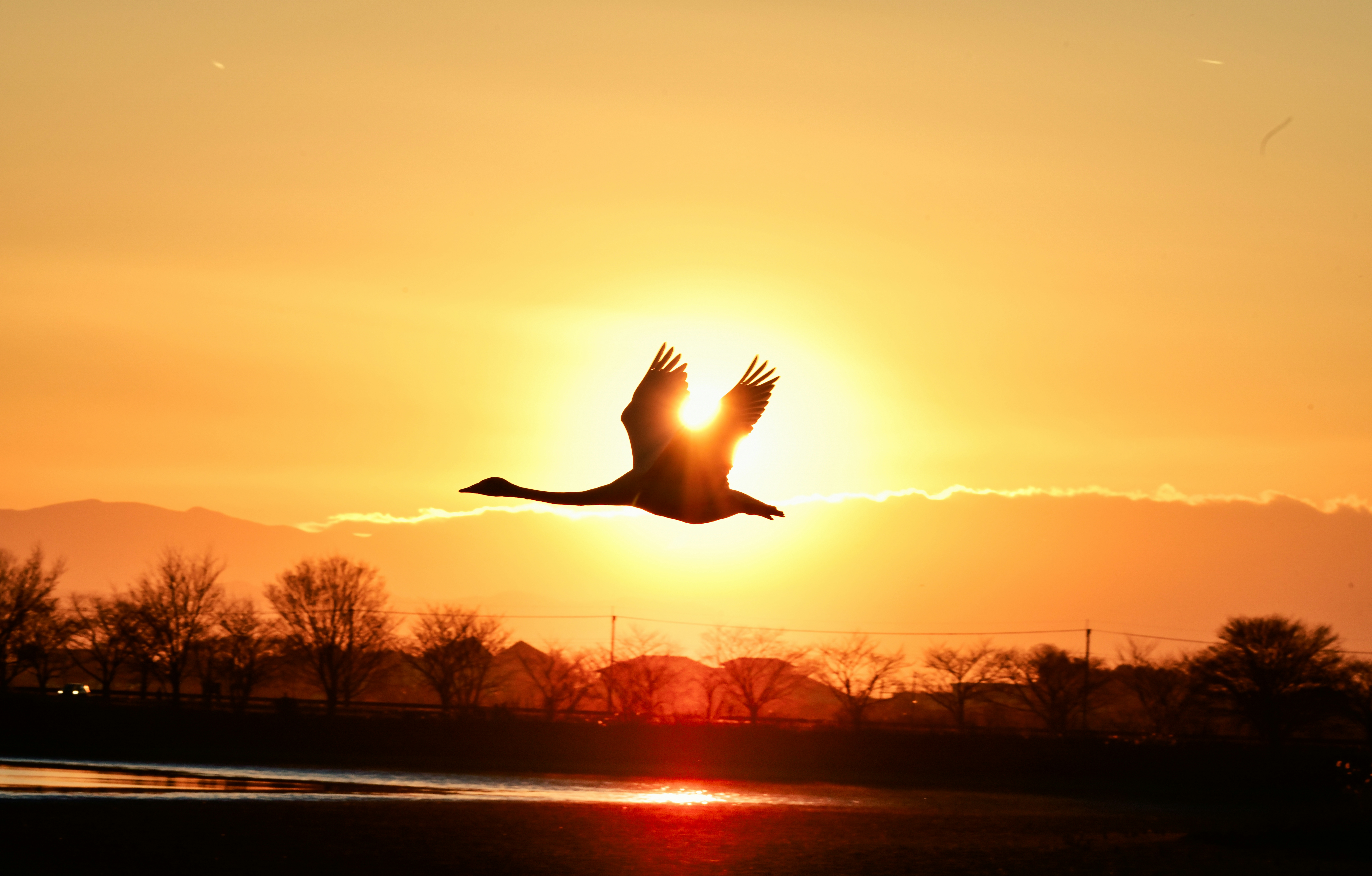 2026-01-pick-up-photos-no-274-278-cover-image