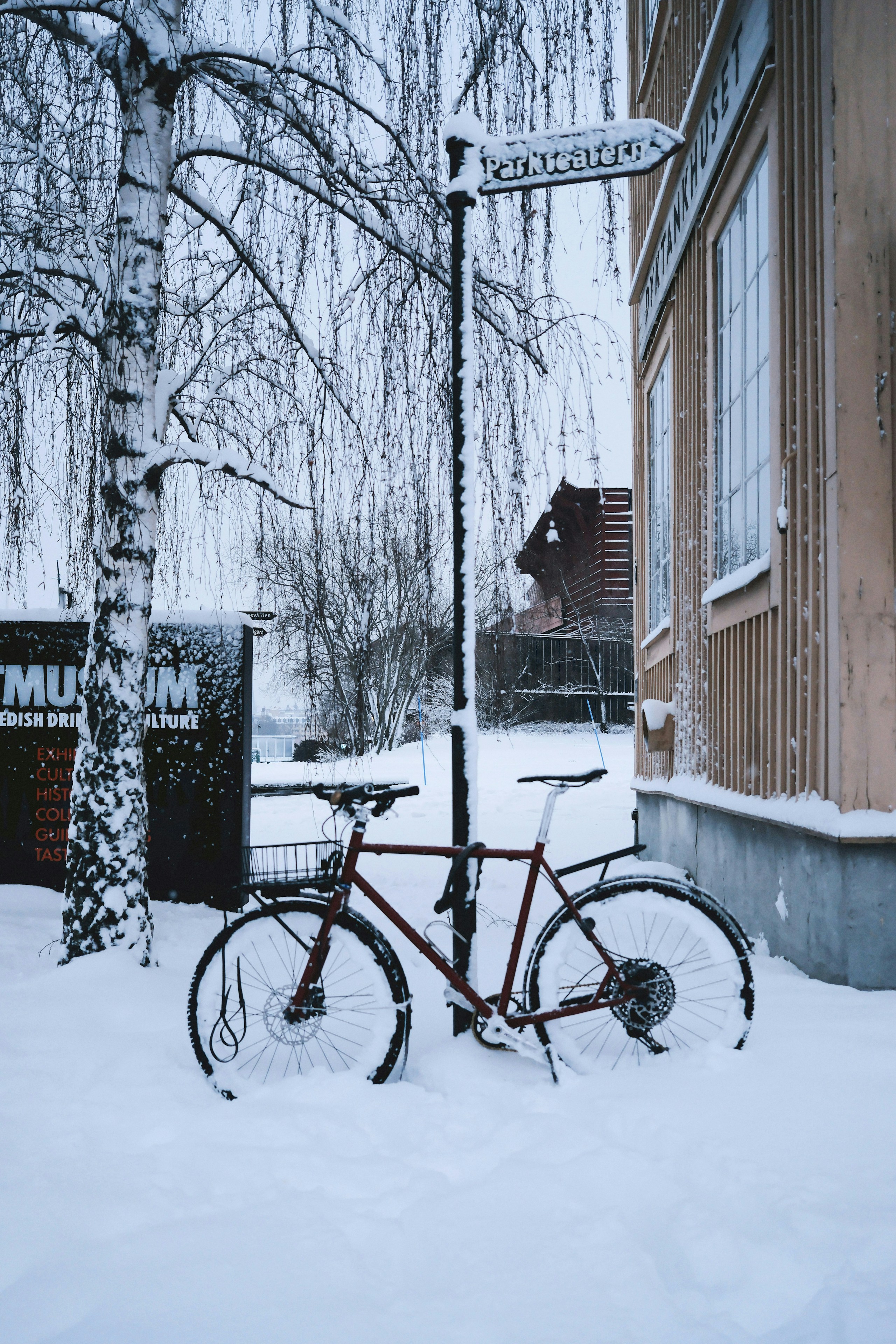 2026-02-snow-image-5