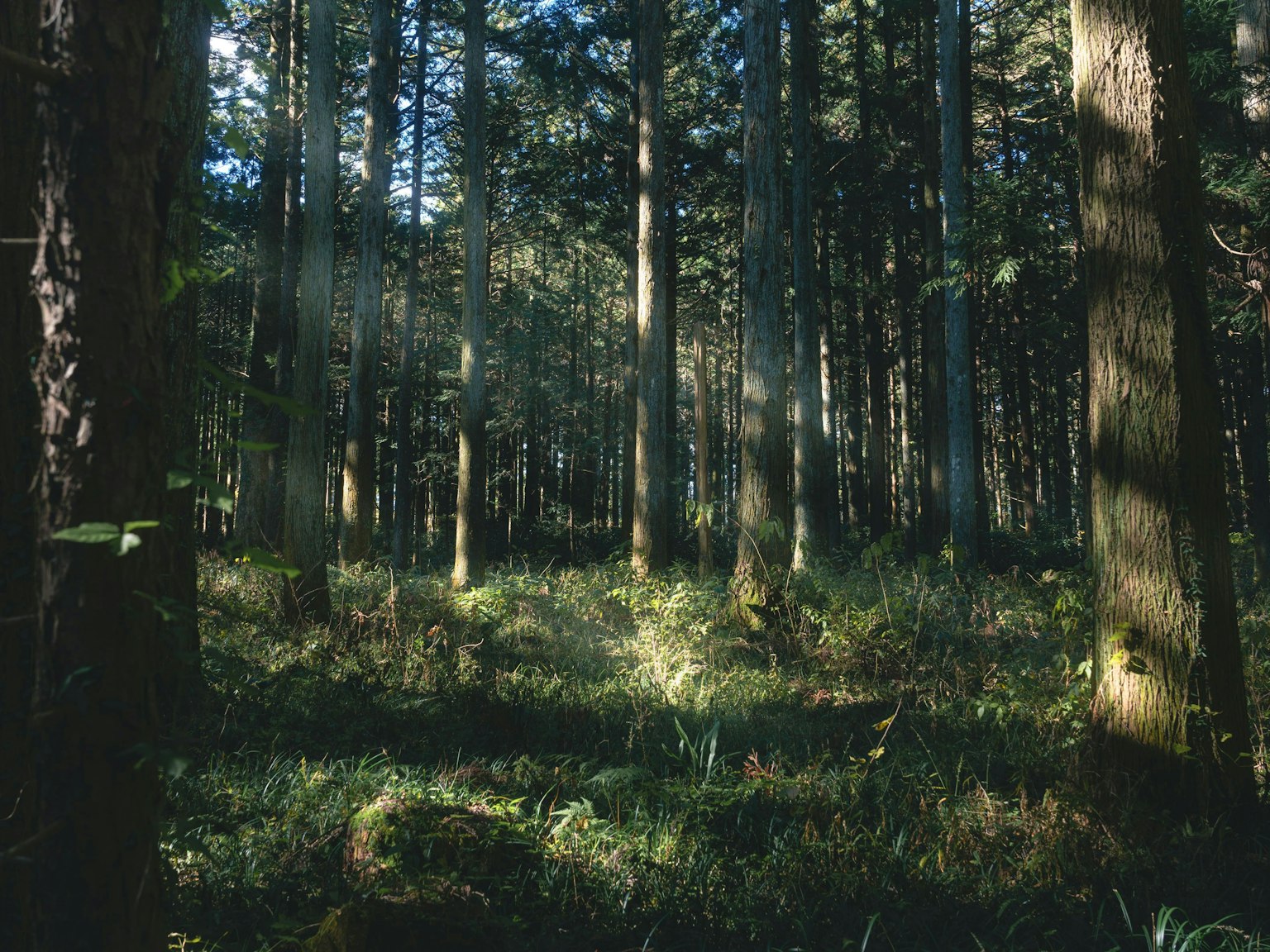 2025-05-photo-contest-pr-1-image-4