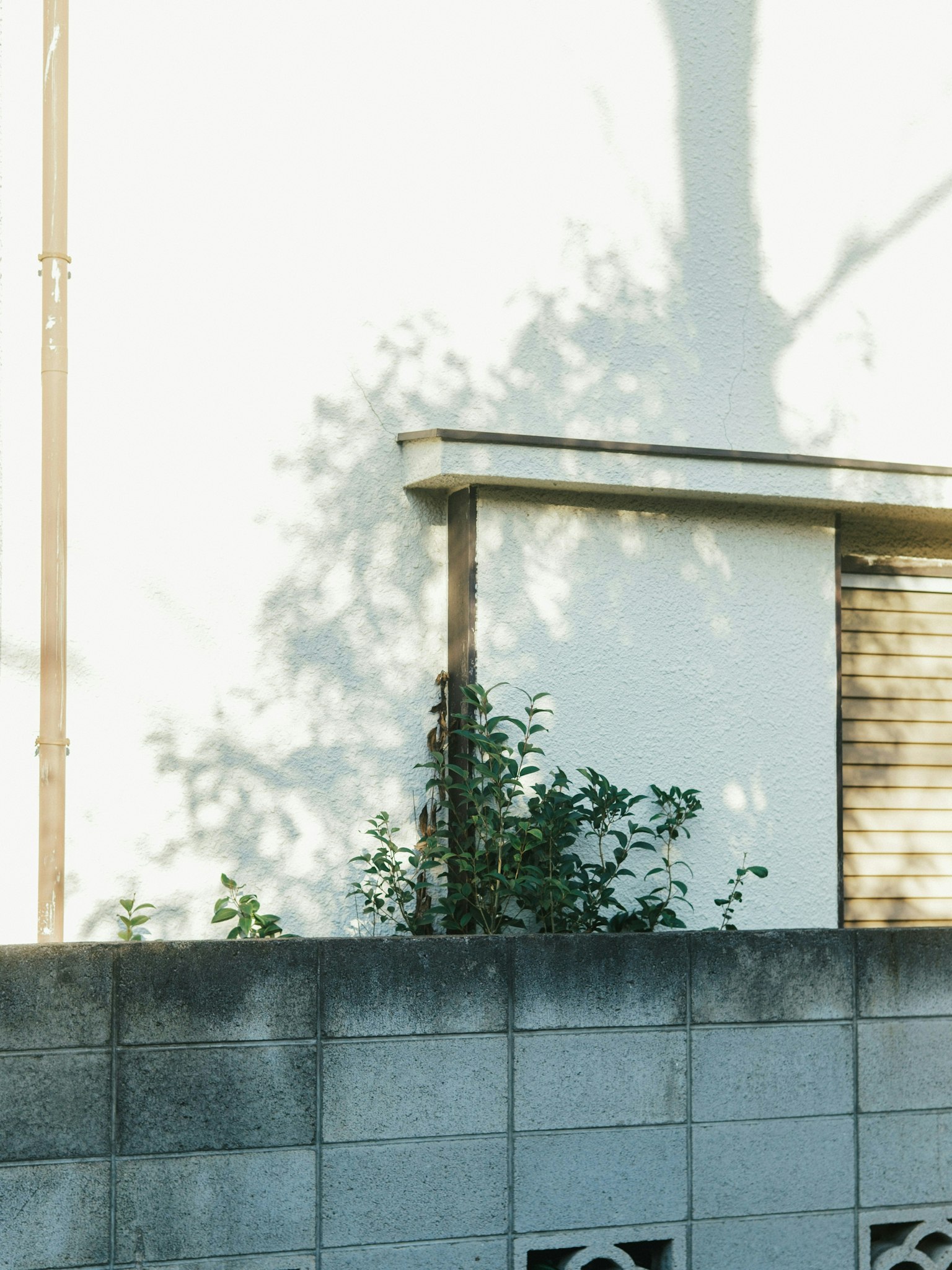 2025-08-photography-is-life-image-11