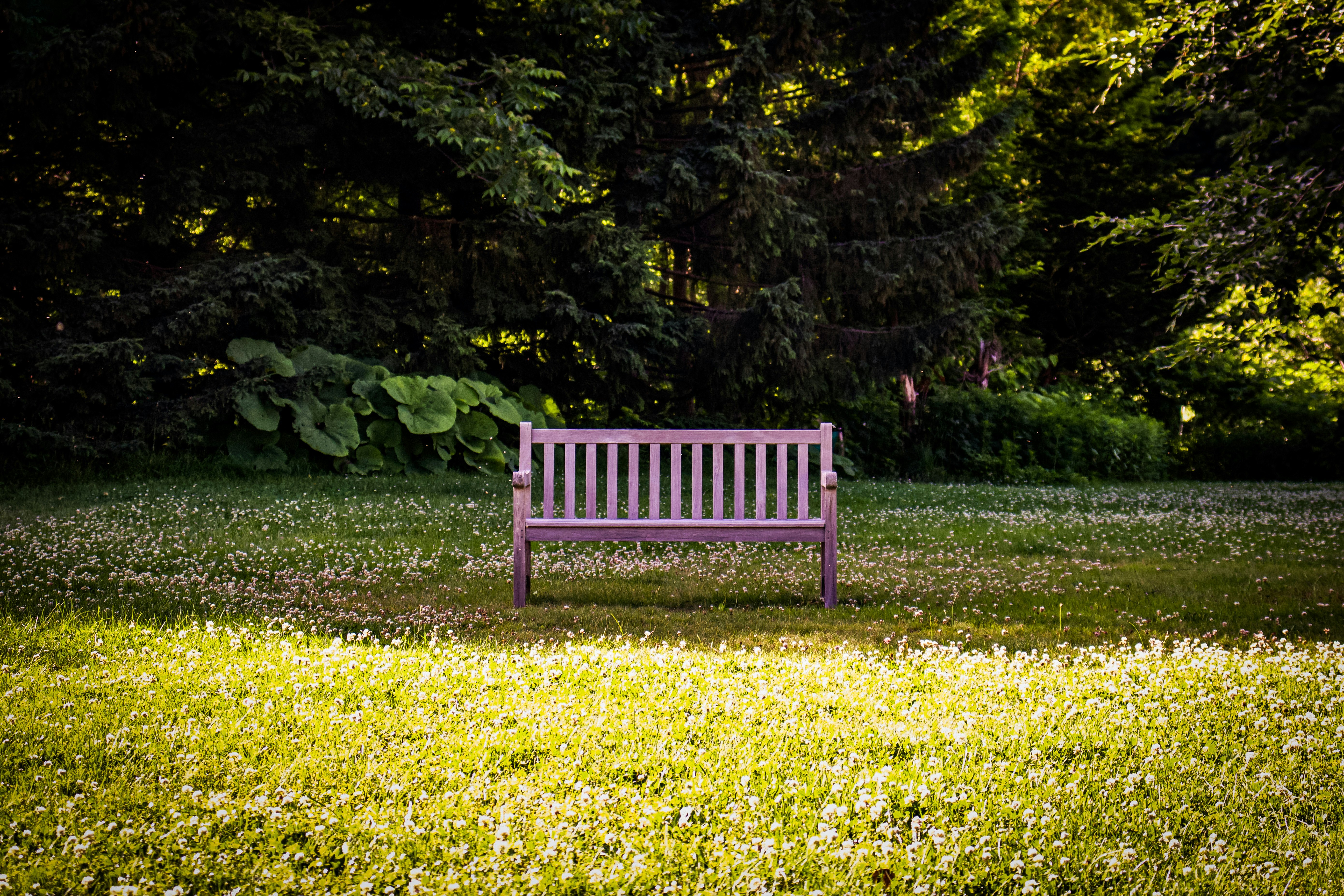 2025-10-choose-best-composition-cover-image