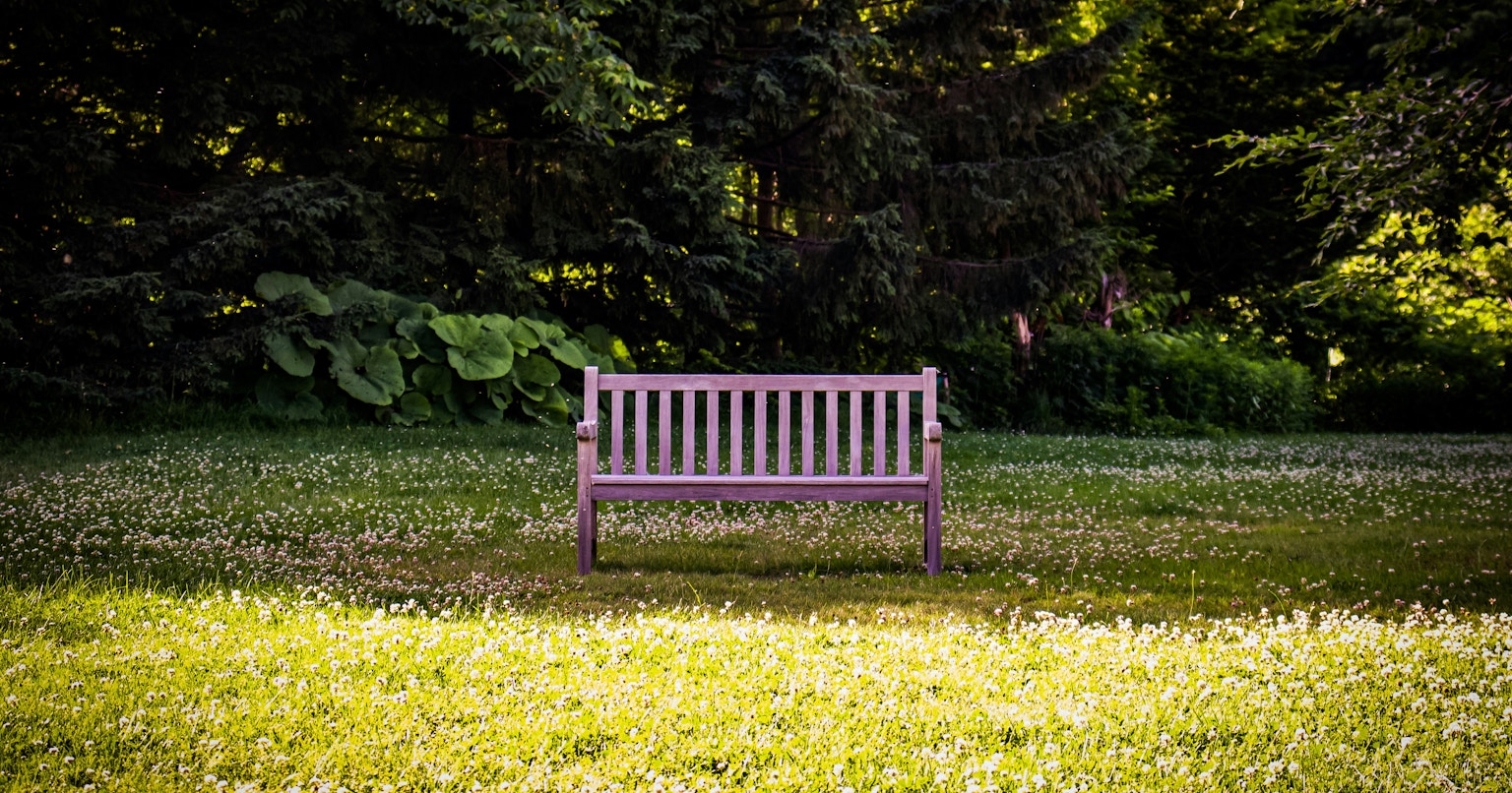 2025-10-choose-best-composition-cover-image