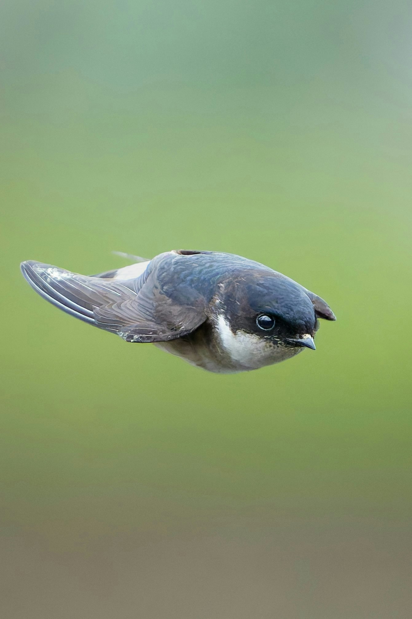 2025-04-masa-10-questions-image-2