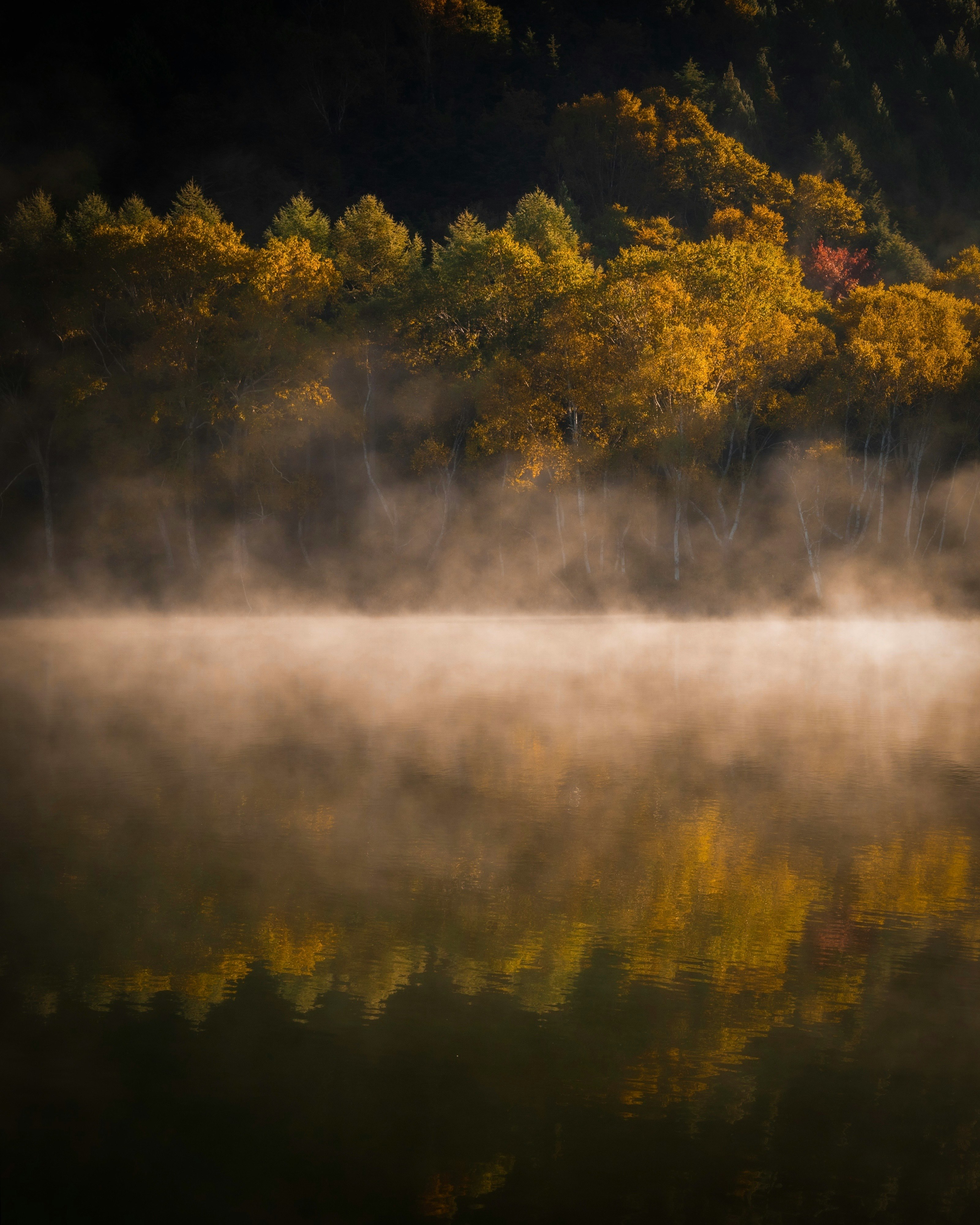 2025-10-autumn-light-weather-patience-image-12