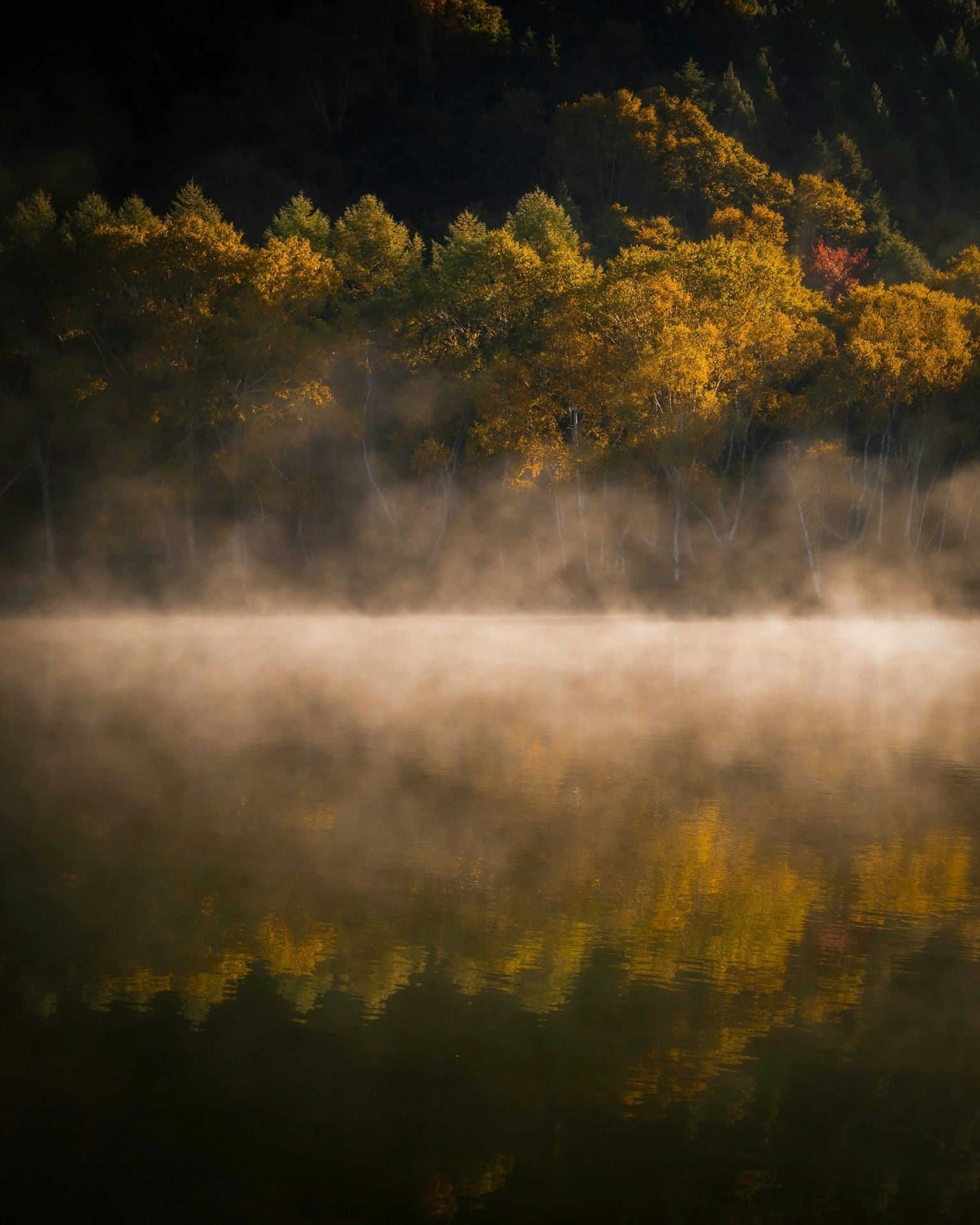 2025-10-autumn-light-weather-patience-image-12
