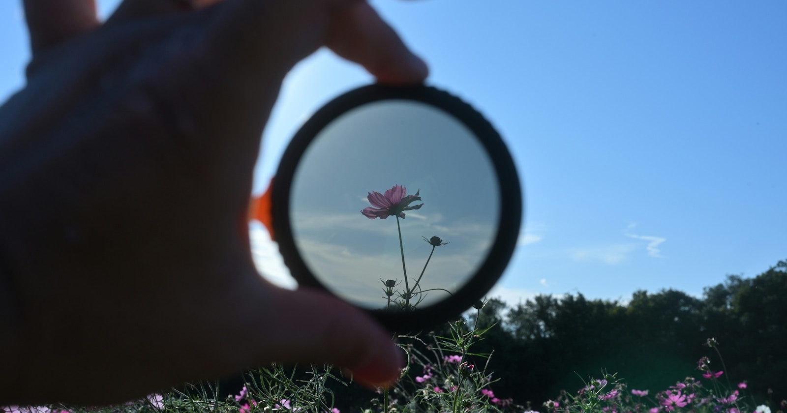 masa racconta | L'eco della luce con il Black Mist | Nikon Z6III | Knowledge #271
