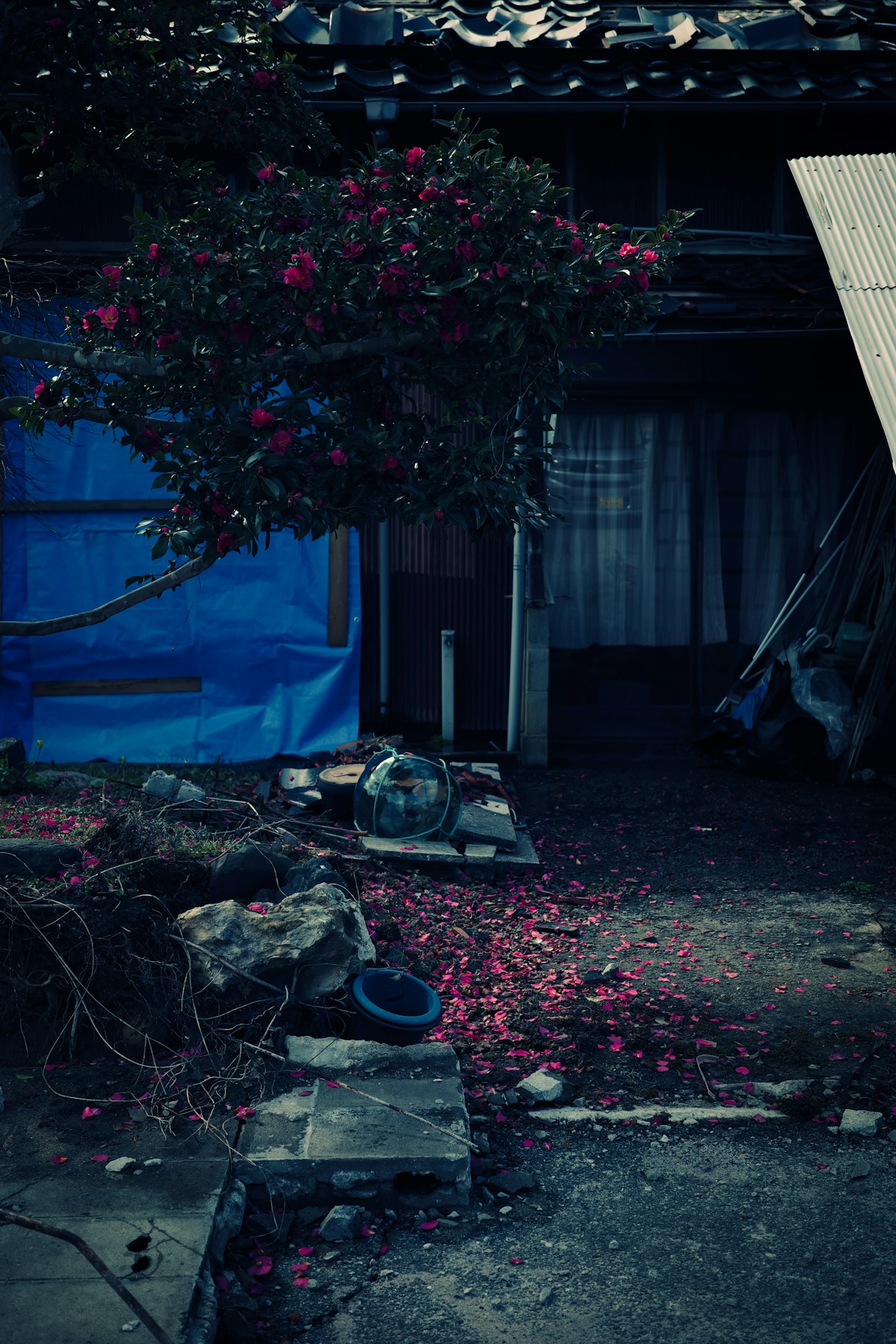 Image by Jang Kumi