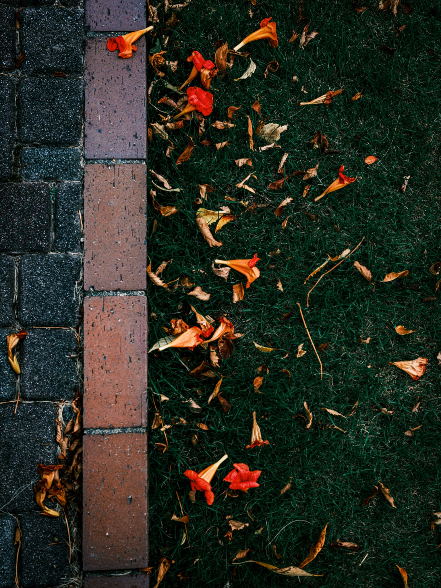 2025-11-roadside-story-award-image-8