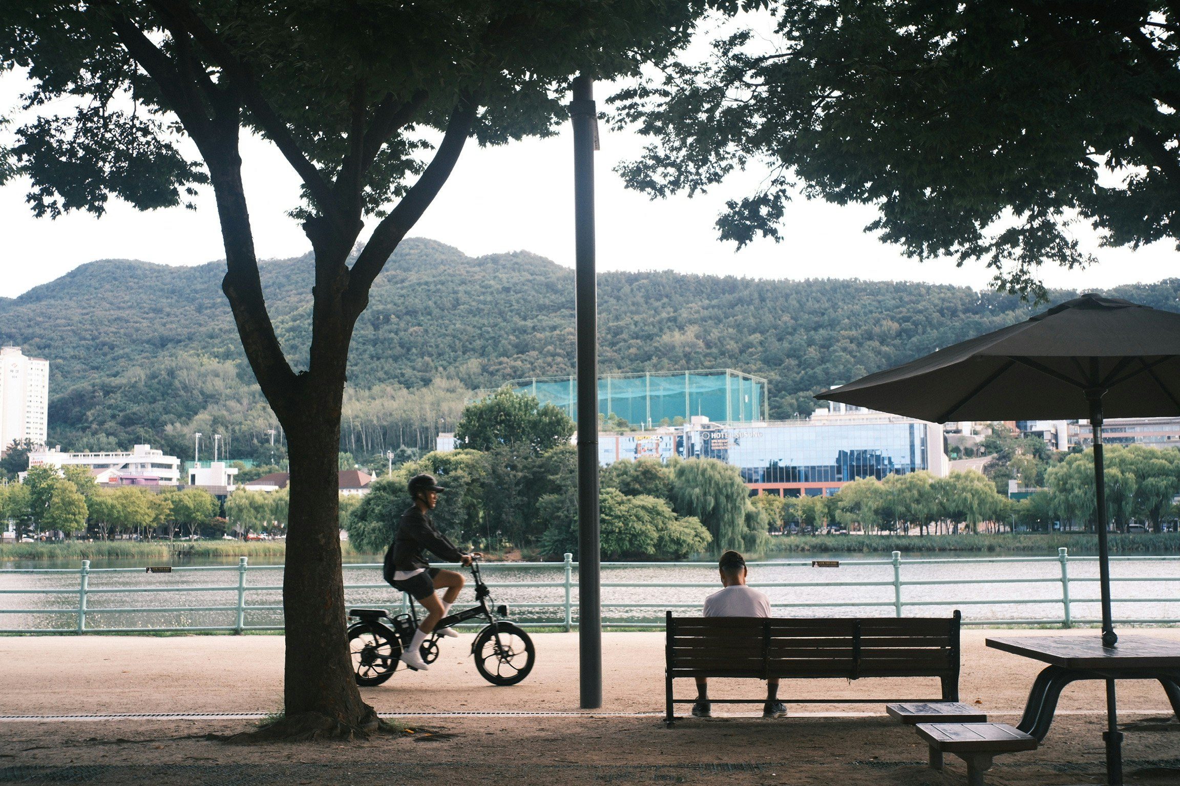 2025-11-pick-up-photos-no-239-243-cover-image