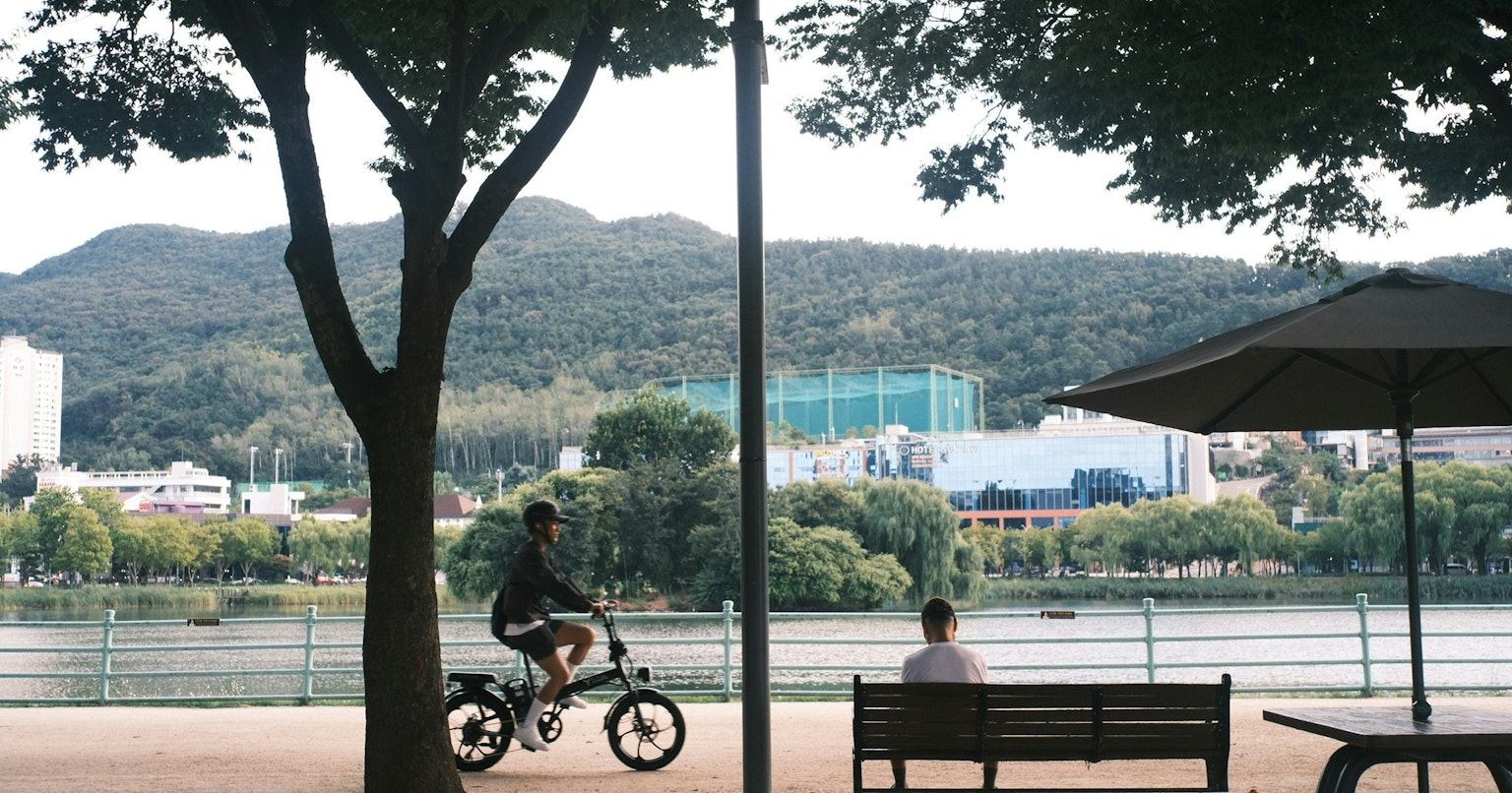 2025-11-pick-up-photos-no-239-243-cover-image