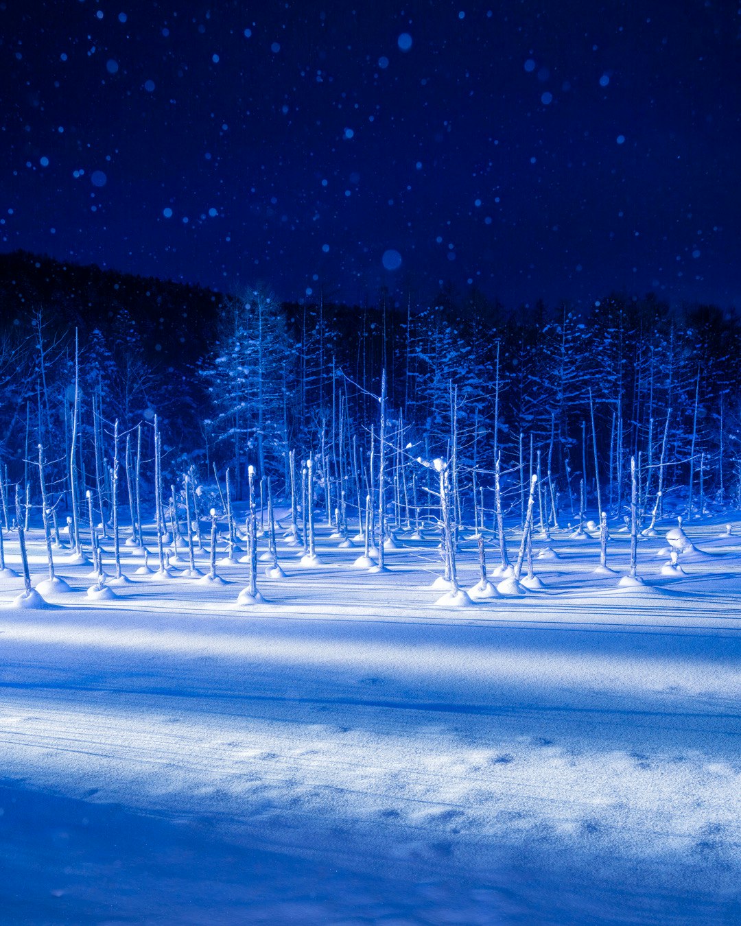 2024-02-daily-palette-image-6