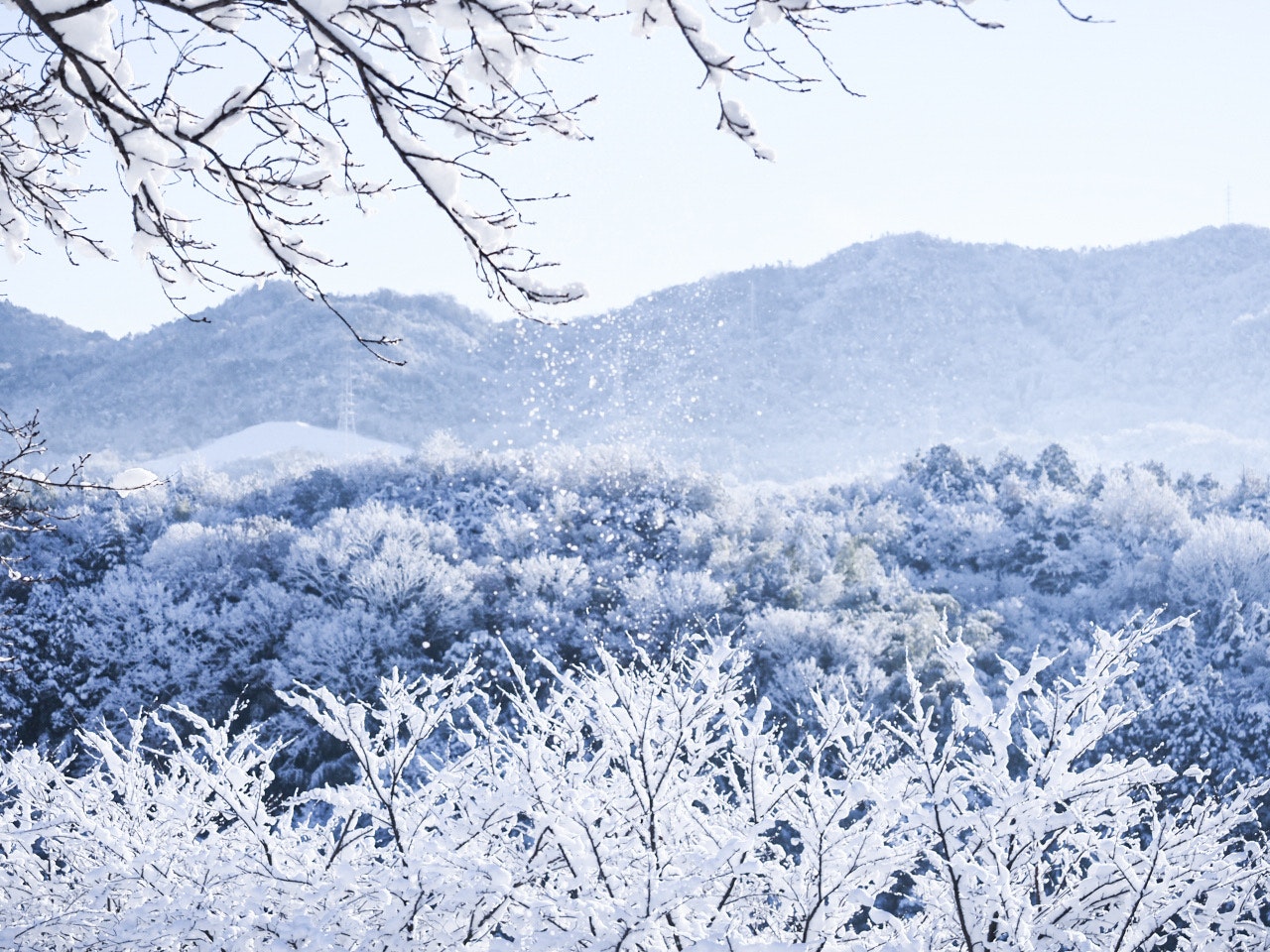 2026-02-snow-cover-image