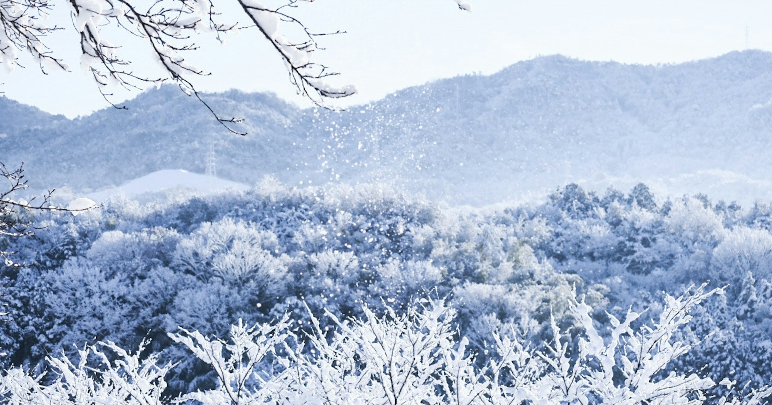 #snow | Your Snow-Inspired Works | Focus #616