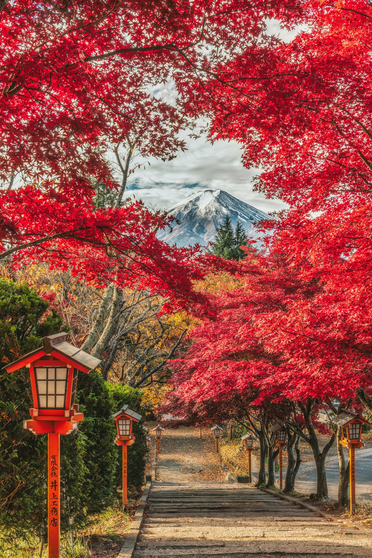 Photo by ゆ〜き