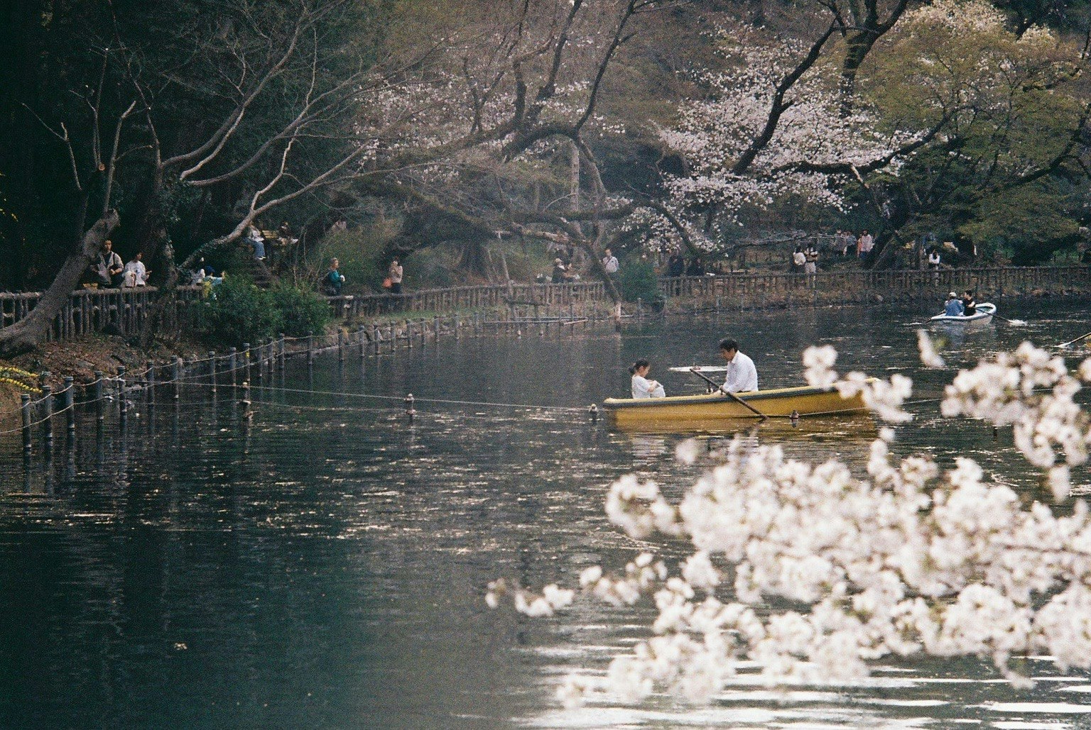 2025-04-march-diary-25-award-image-15