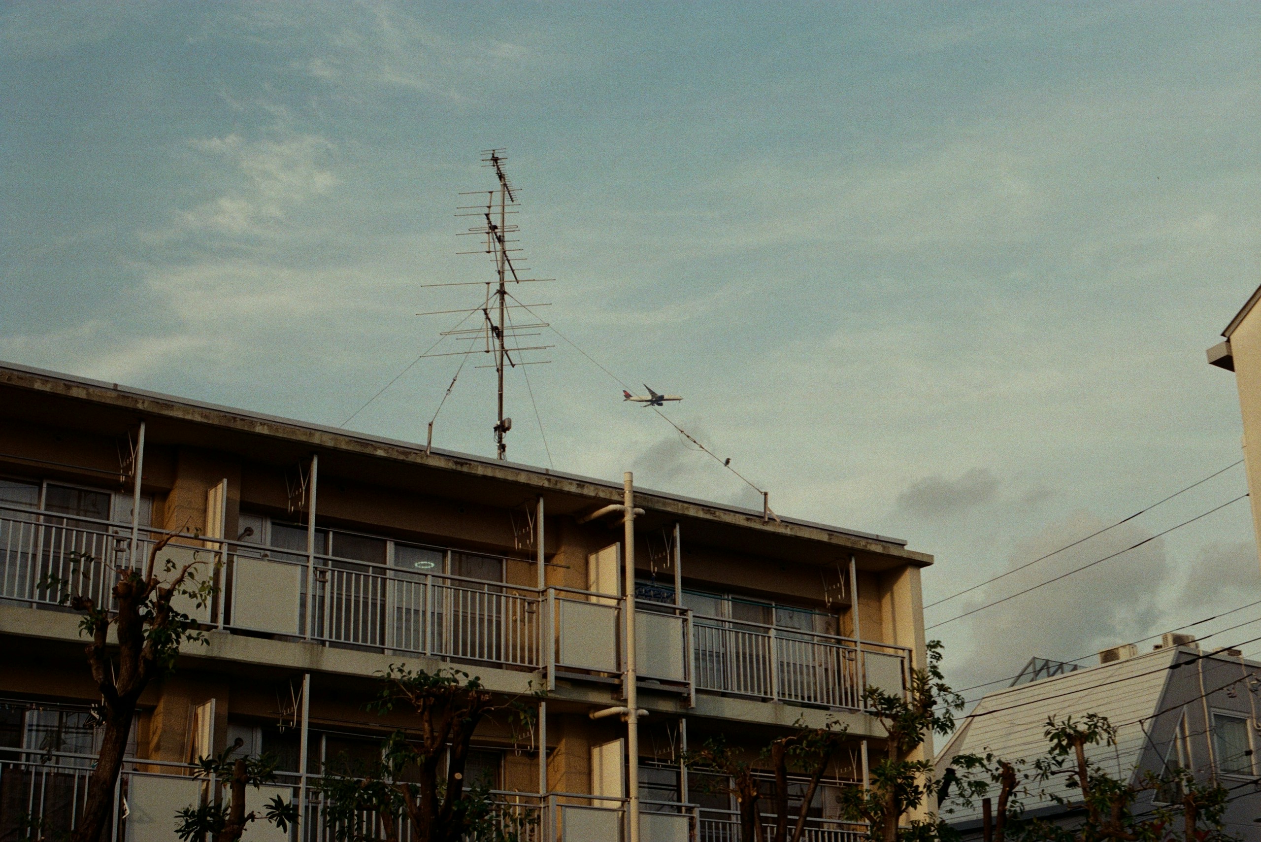 2026-06-film-image-6