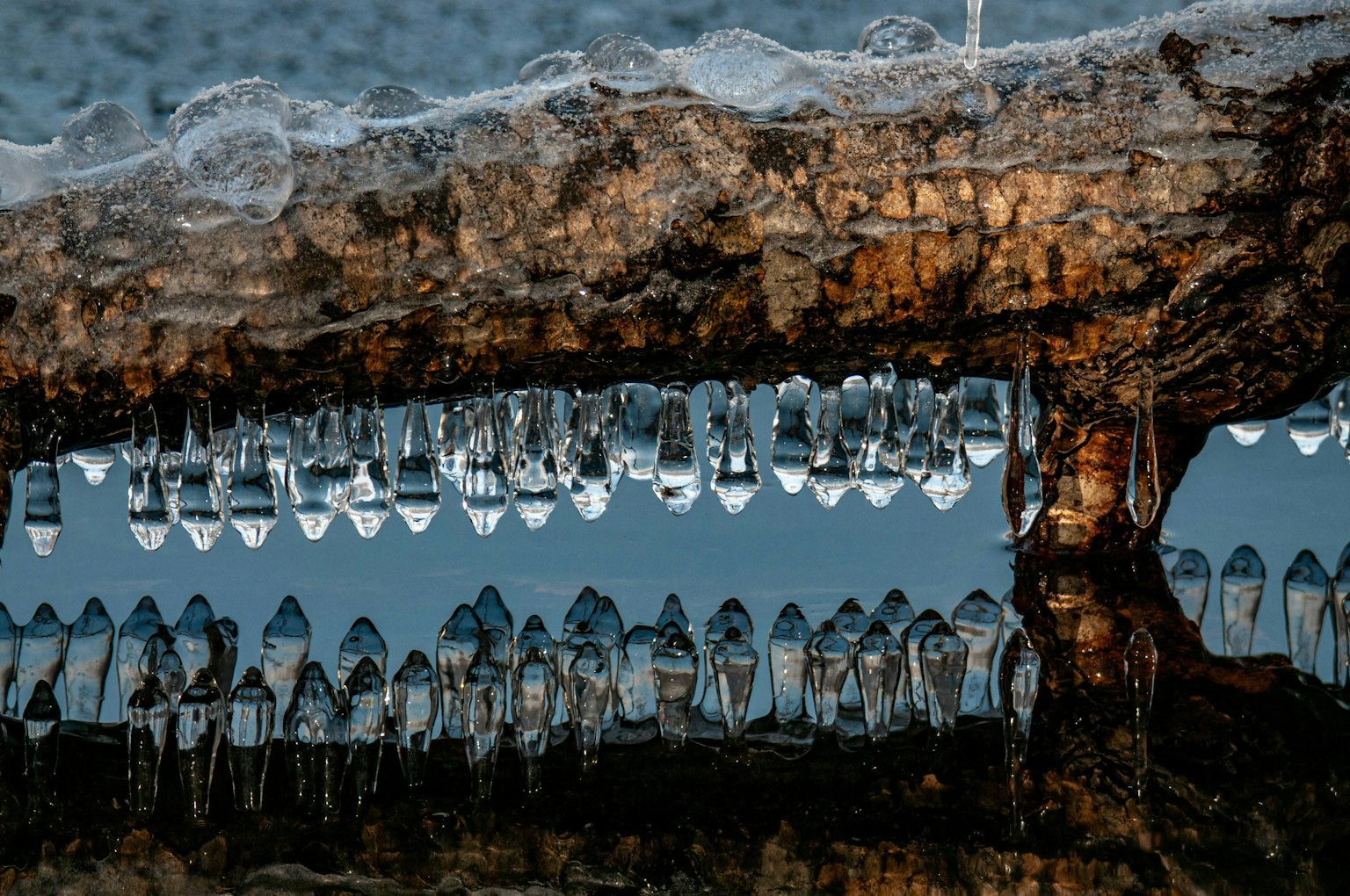 2025-04-pick-up-photos-no-79-83-image-11