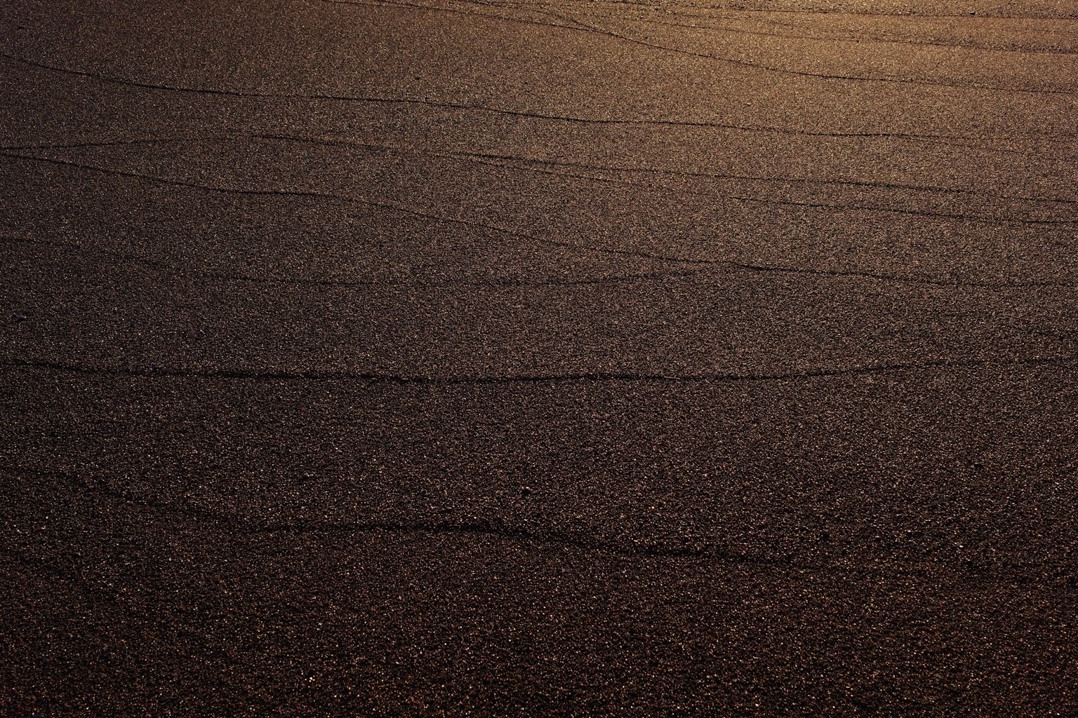 2025-05-sigma-camera-price-hike-us-tariffs-image-5