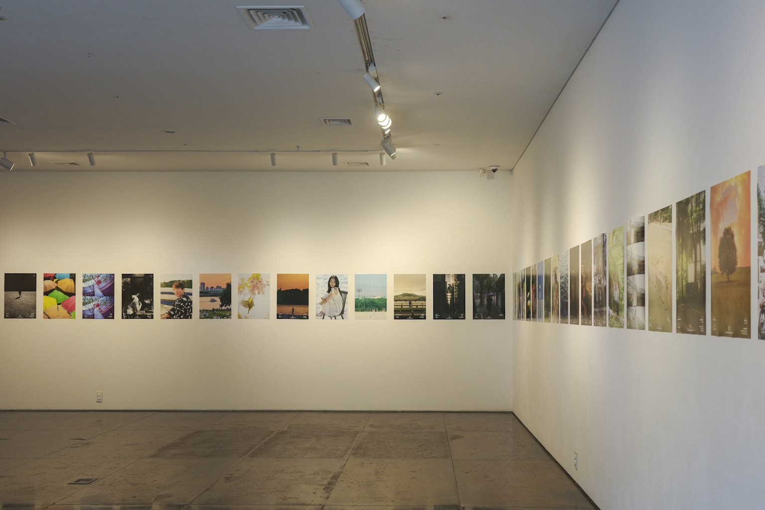 2025-12-ppp-one-year-anniversary-image-3