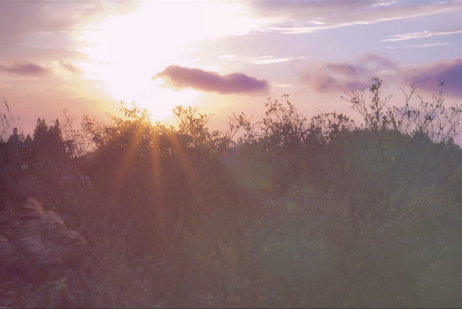 2024-06-tender-light-image-11