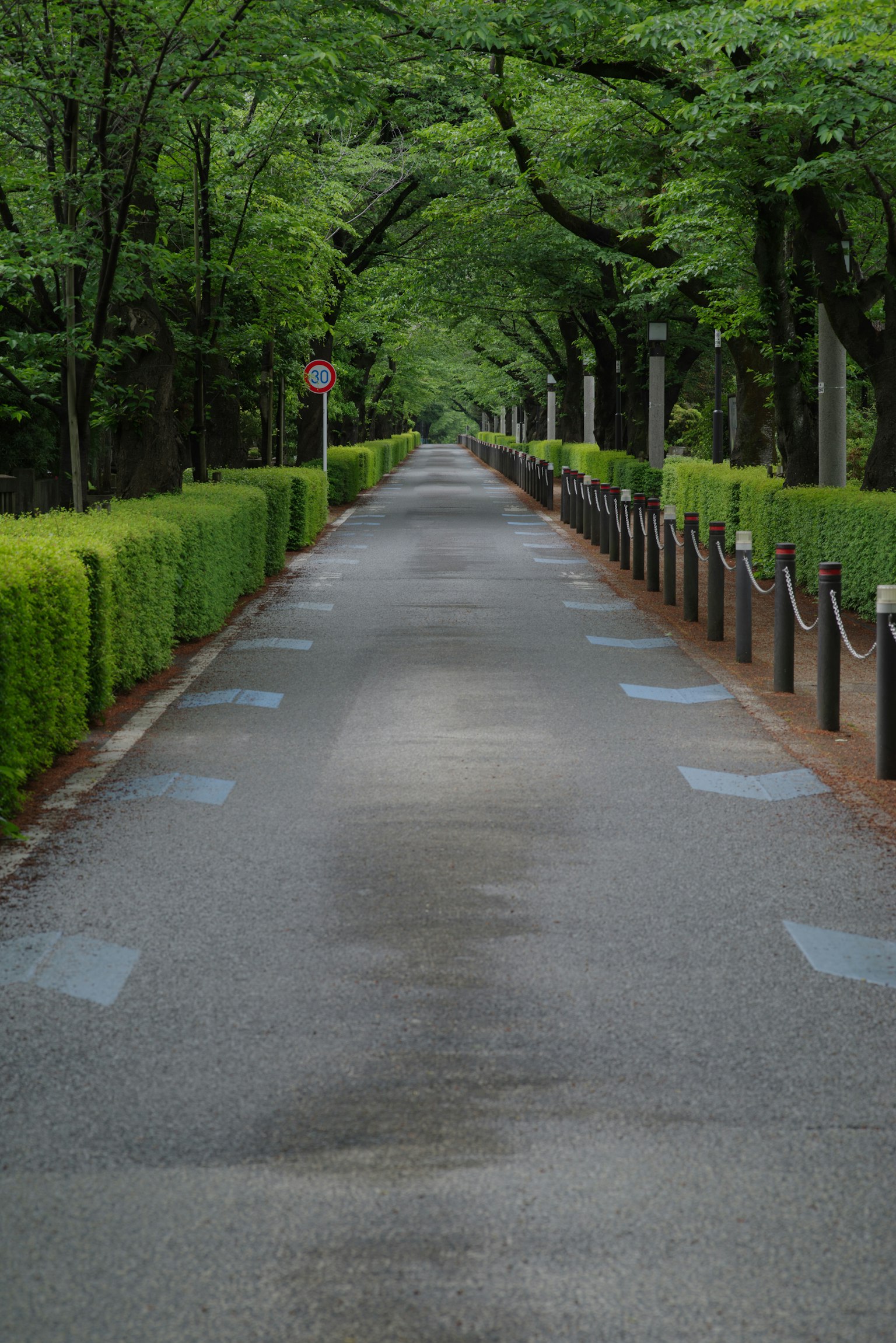 2024-05-april-diary-award-image-8